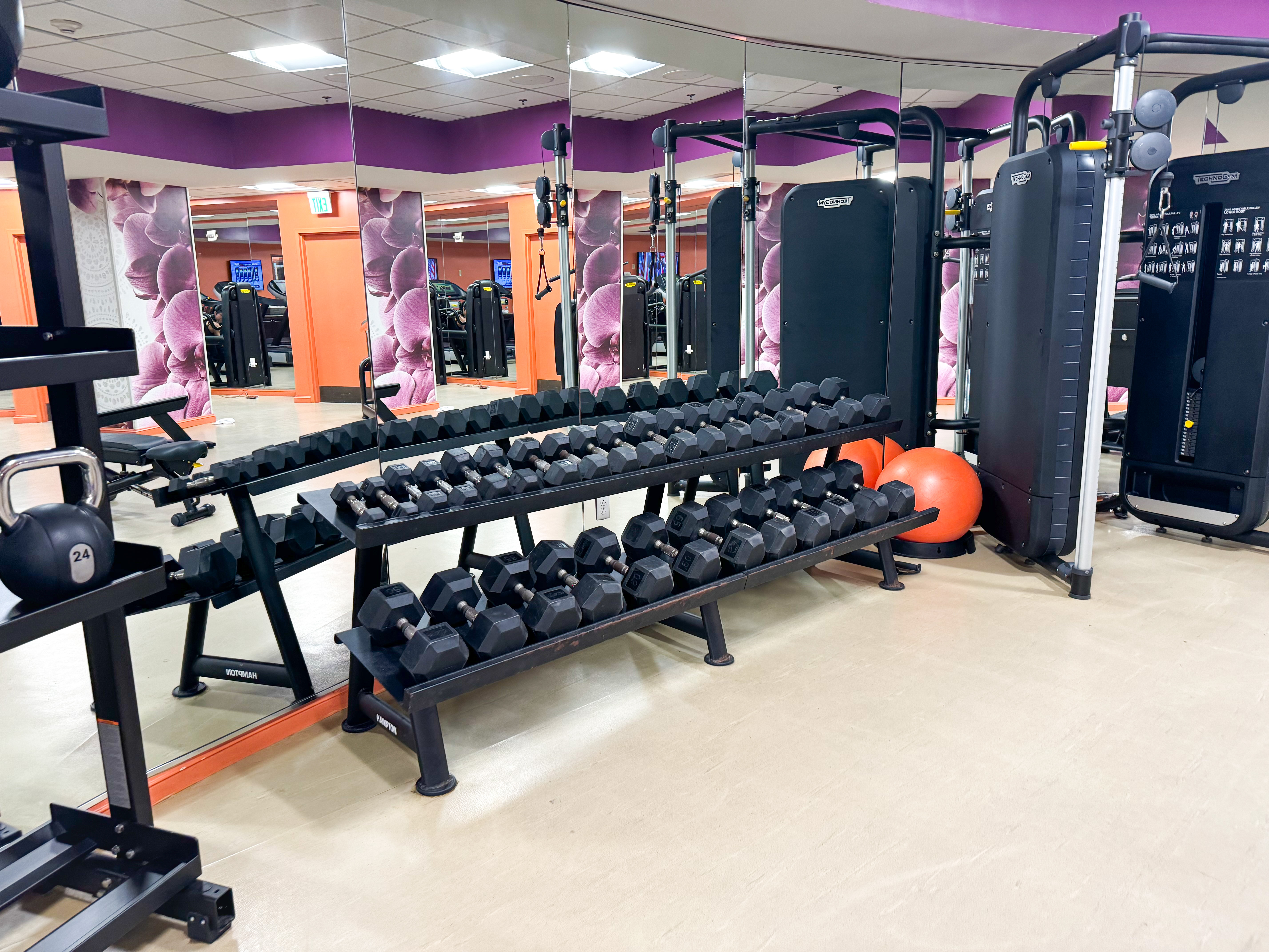 Loews Royal Pacific Hotel Universal Orlando gym free weights Loews Royal Pacific Hotel Universal Orlando gym free weights