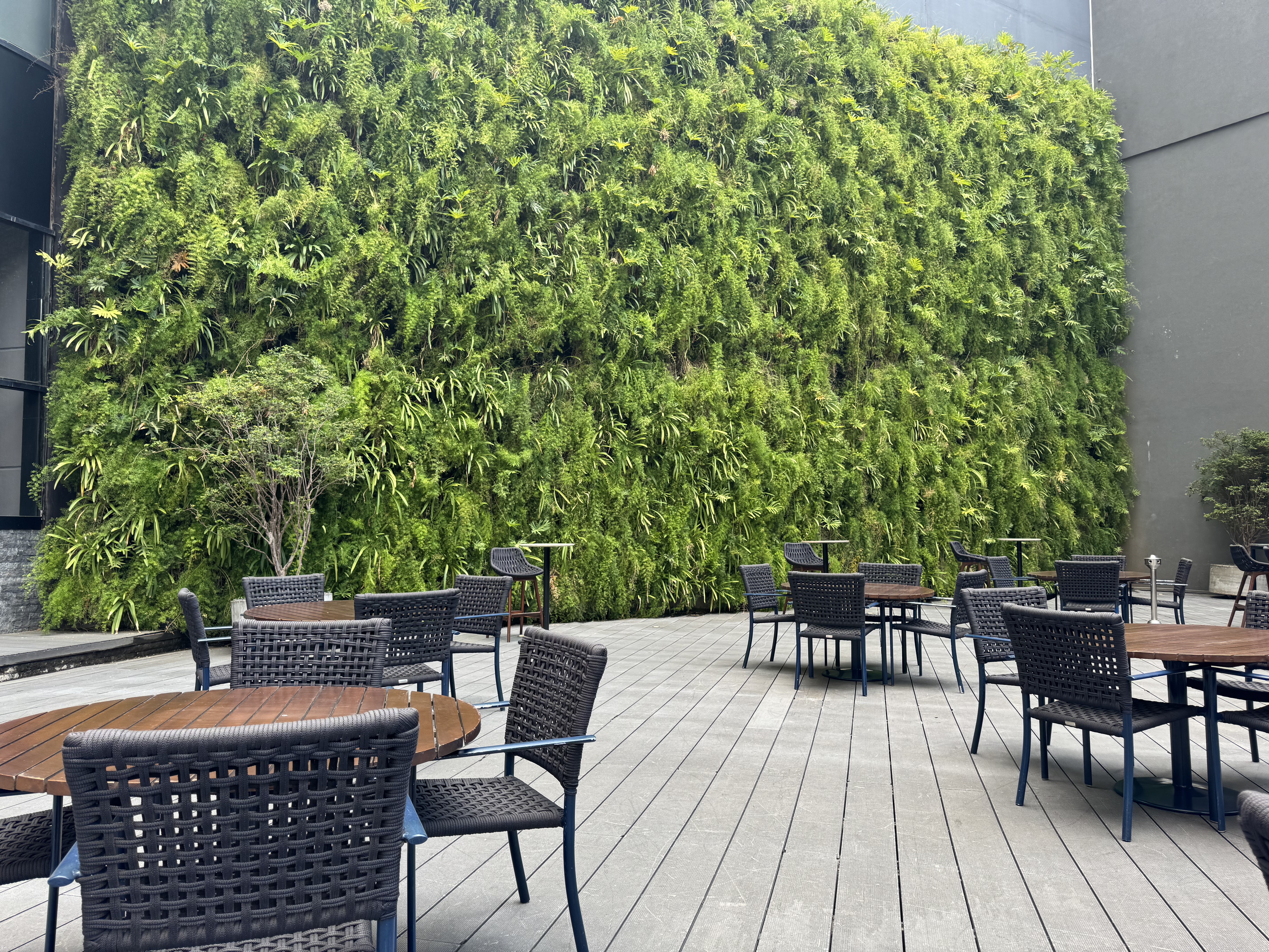 Sheraton Sao Paulo WTC Hotel pool bar green wall Sheraton Sao Paulo WTC Hotel pool bar green wall
