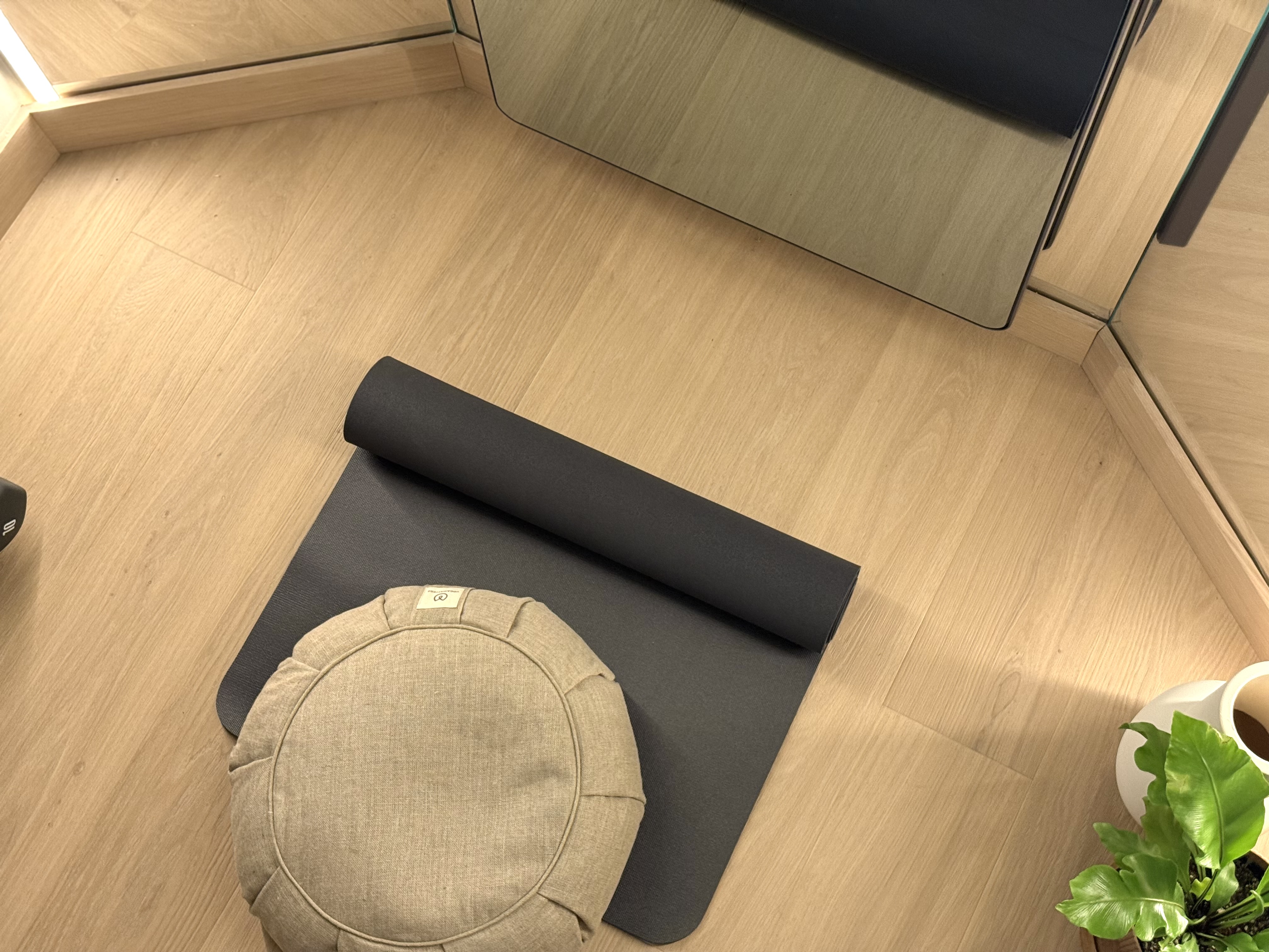Virgin Atlantic Clubhouse LAX Zen Den yoga mat