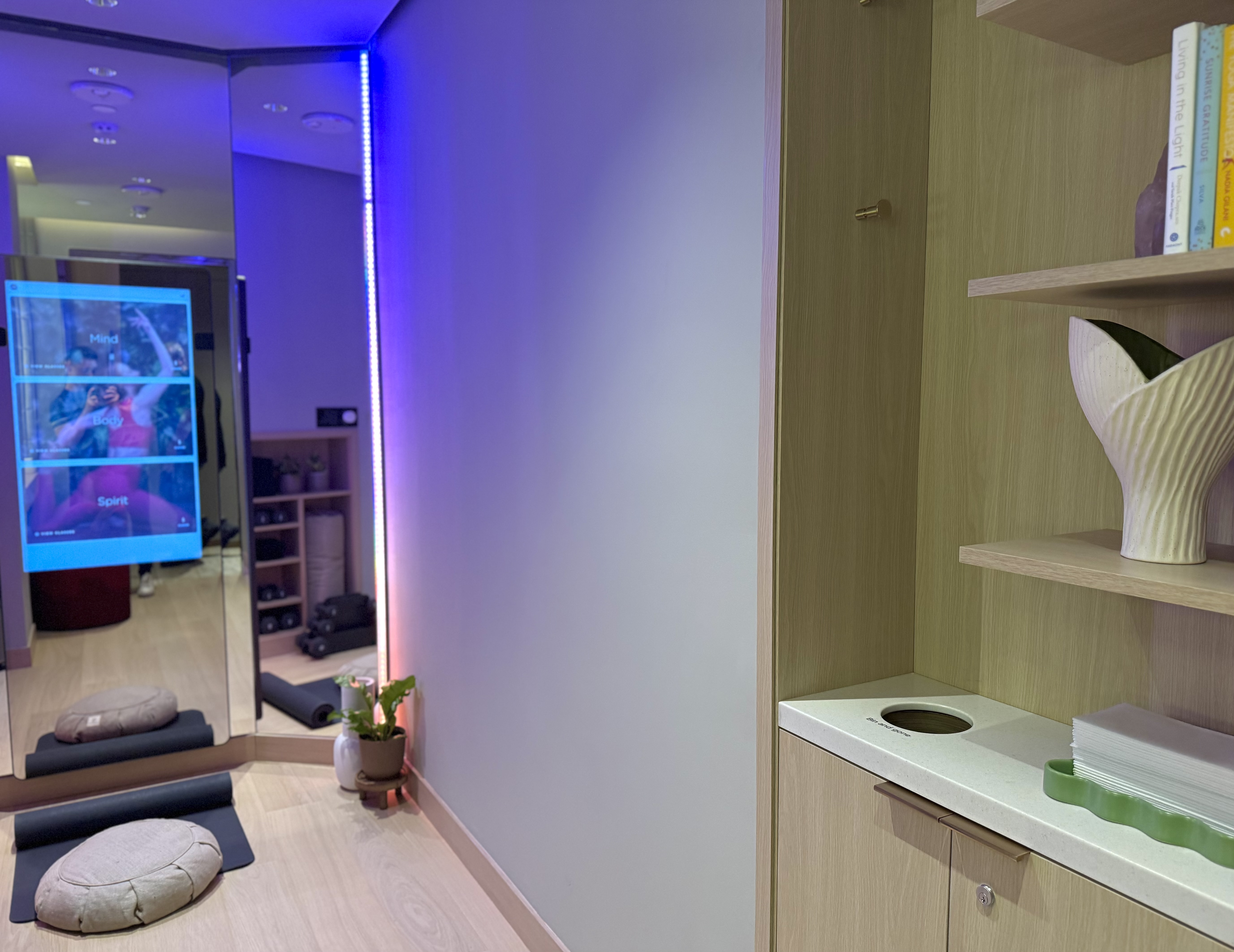 Virgin Atlantic Clubhouse LAX Zen Den