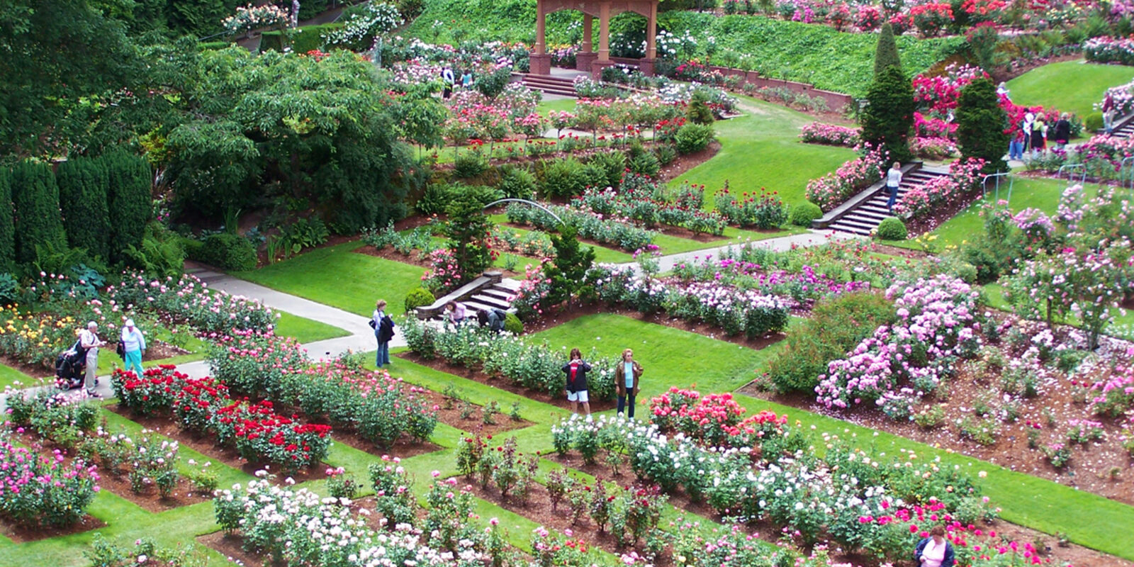 international Rose Test Garden credit City of Portland
