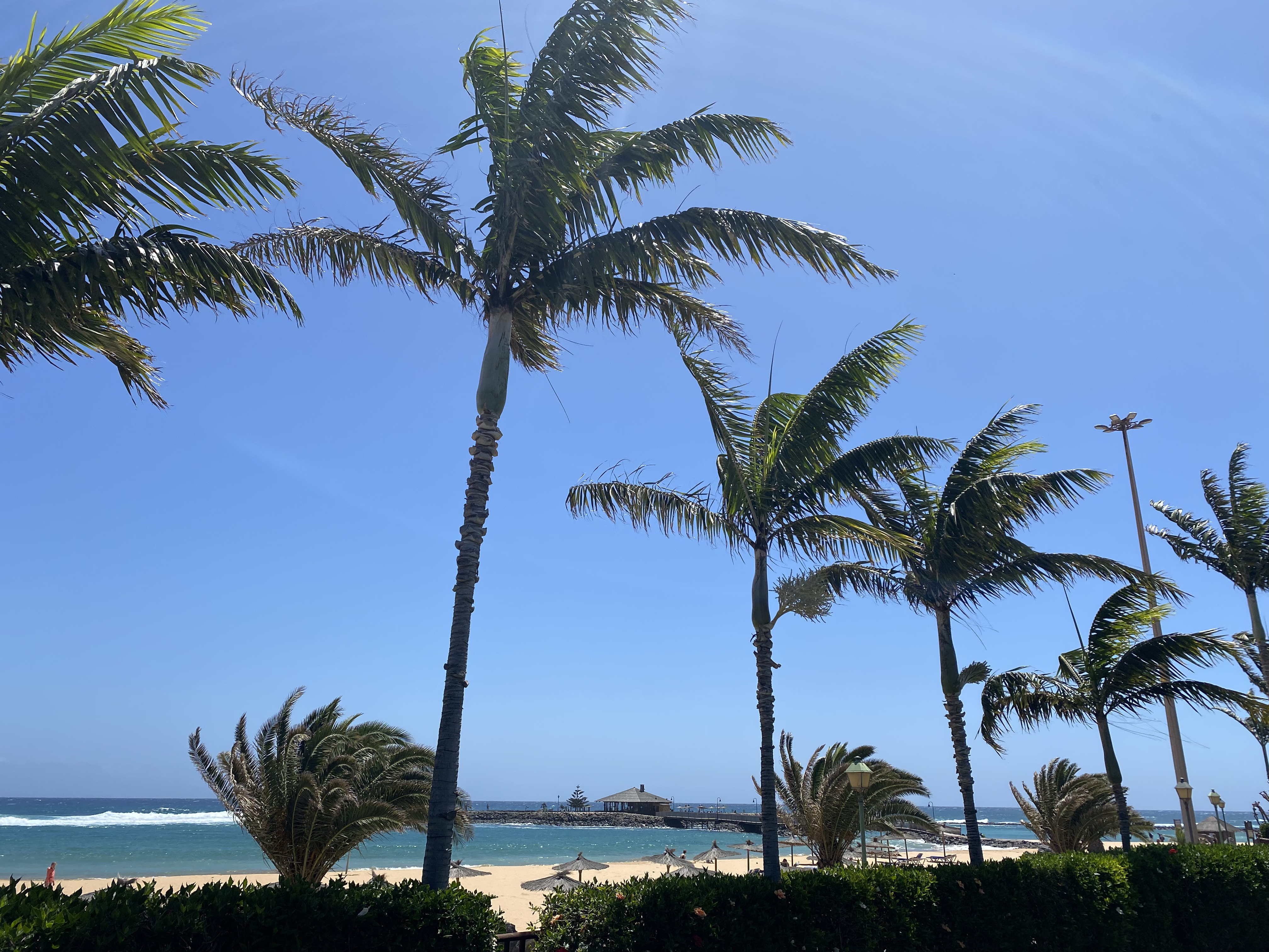 Canary Island beach