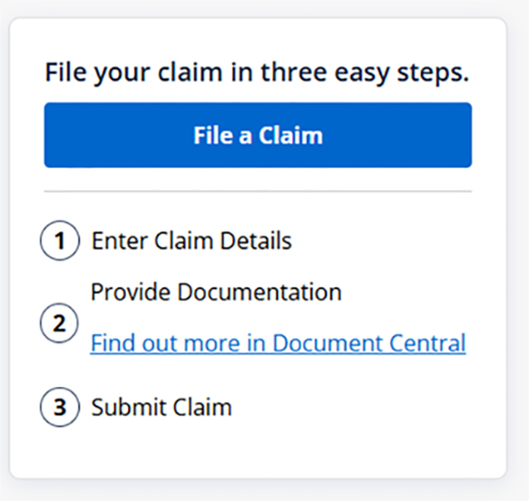 Chase trip delay claim