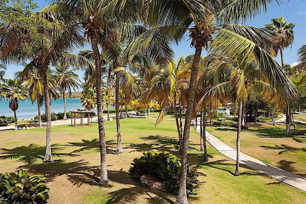 The 11 Best Resorts In Puerto Rico For Families 2026 the-11-best-resorts-in-puerto-rico-for-families-2026