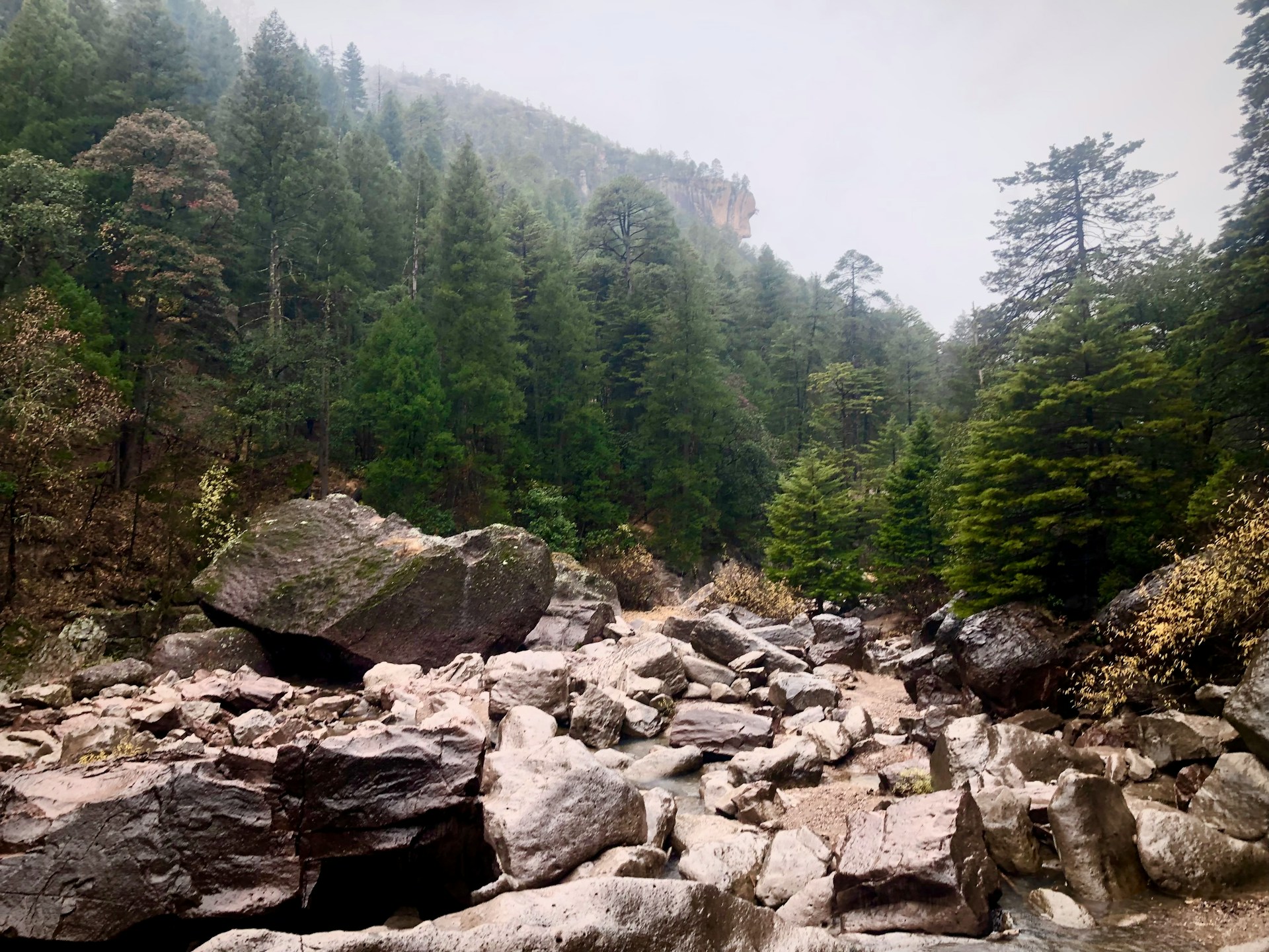 Copper Canyon Copper Canyon
