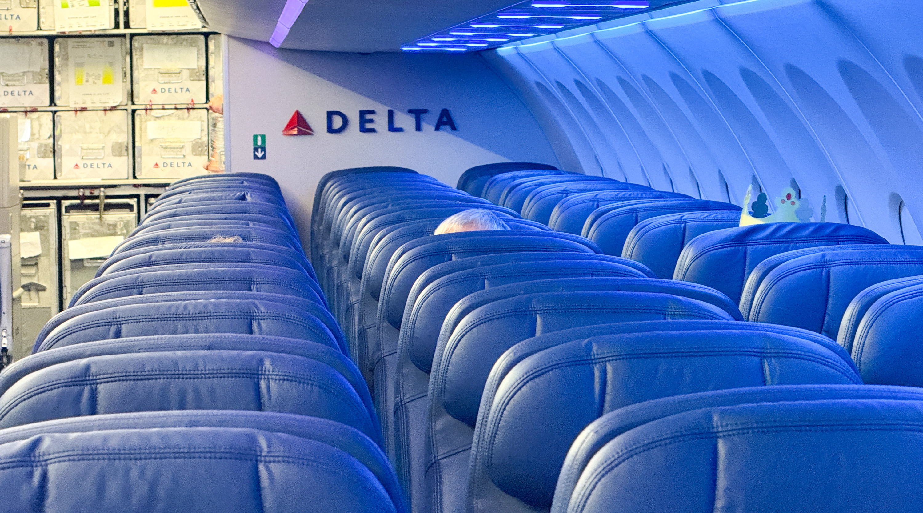 Delta A321neo headrests