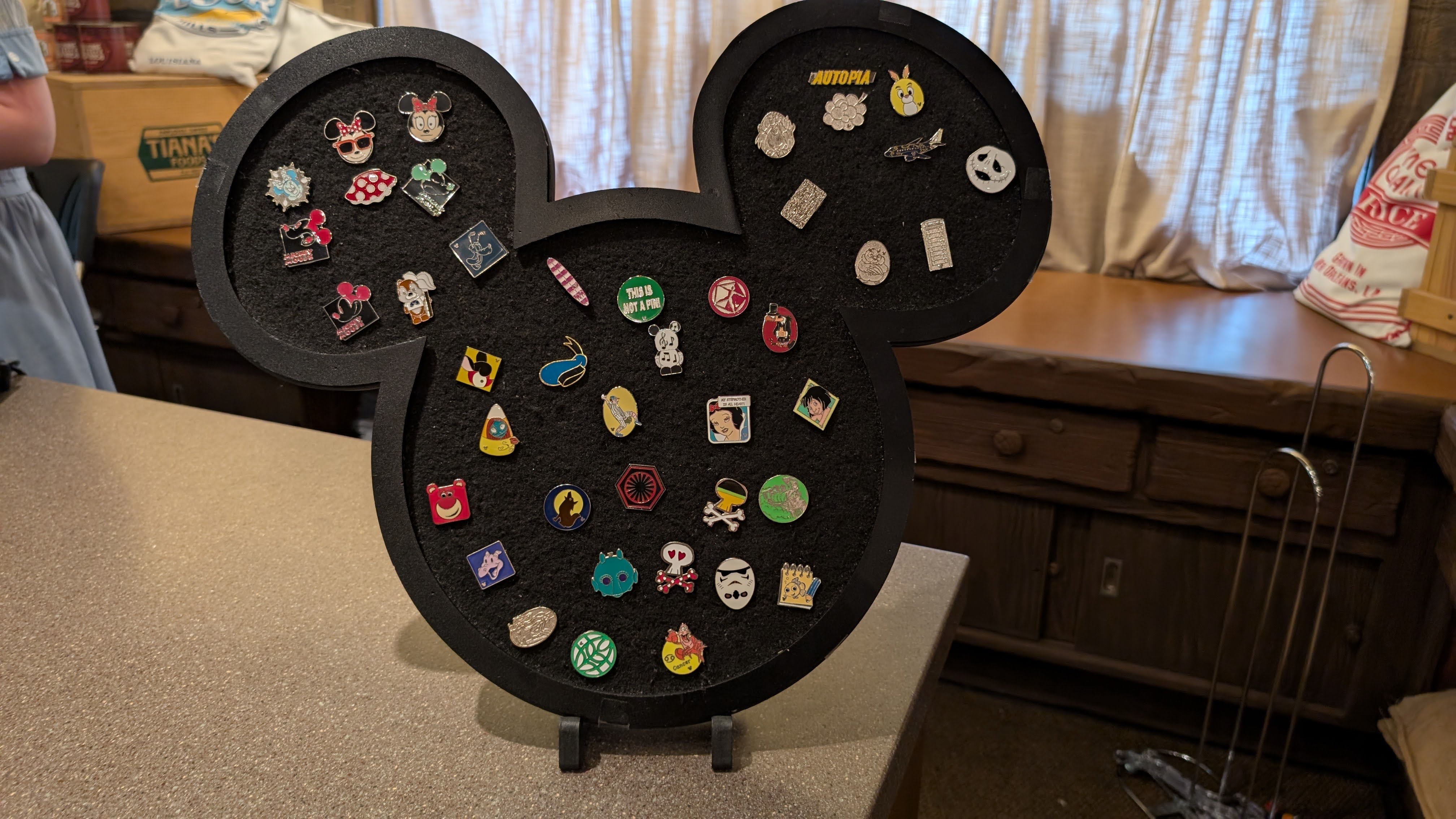 Disney World pin trading Disney World pin trading