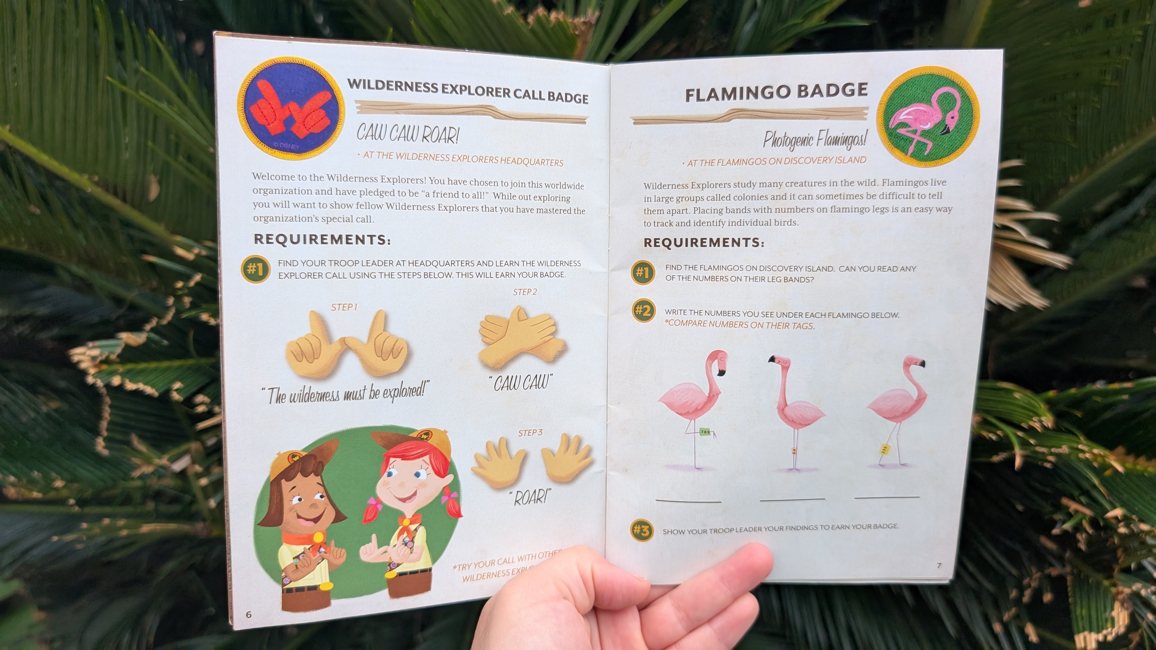 Disneys Animal Kingdom Wilderness Explorers activities Disneys Animal Kingdom Wilderness Explorers activities