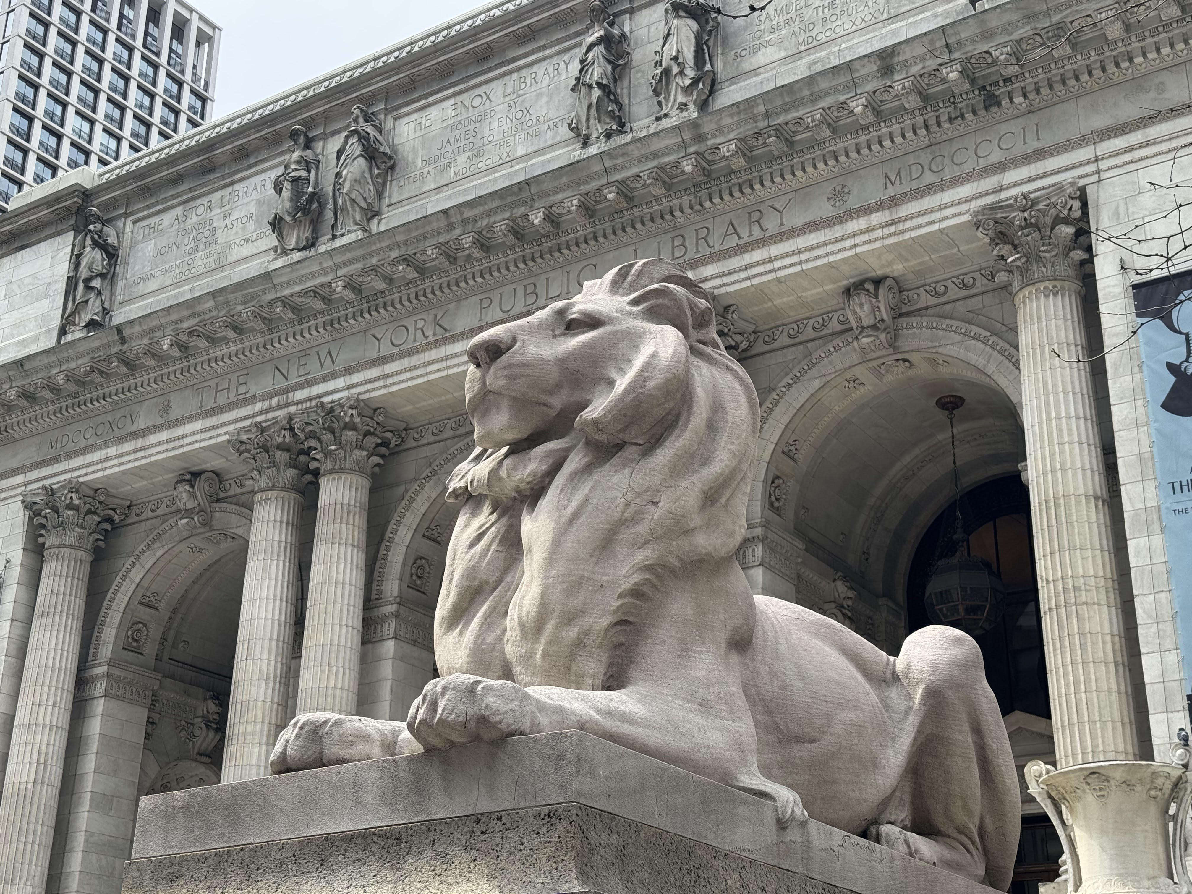 New York Public Library Stephen A. Schwarzman building Patience and Fortitude statue New York Public Library Stephen A. Schwarzman building Patience and Fortitude statue