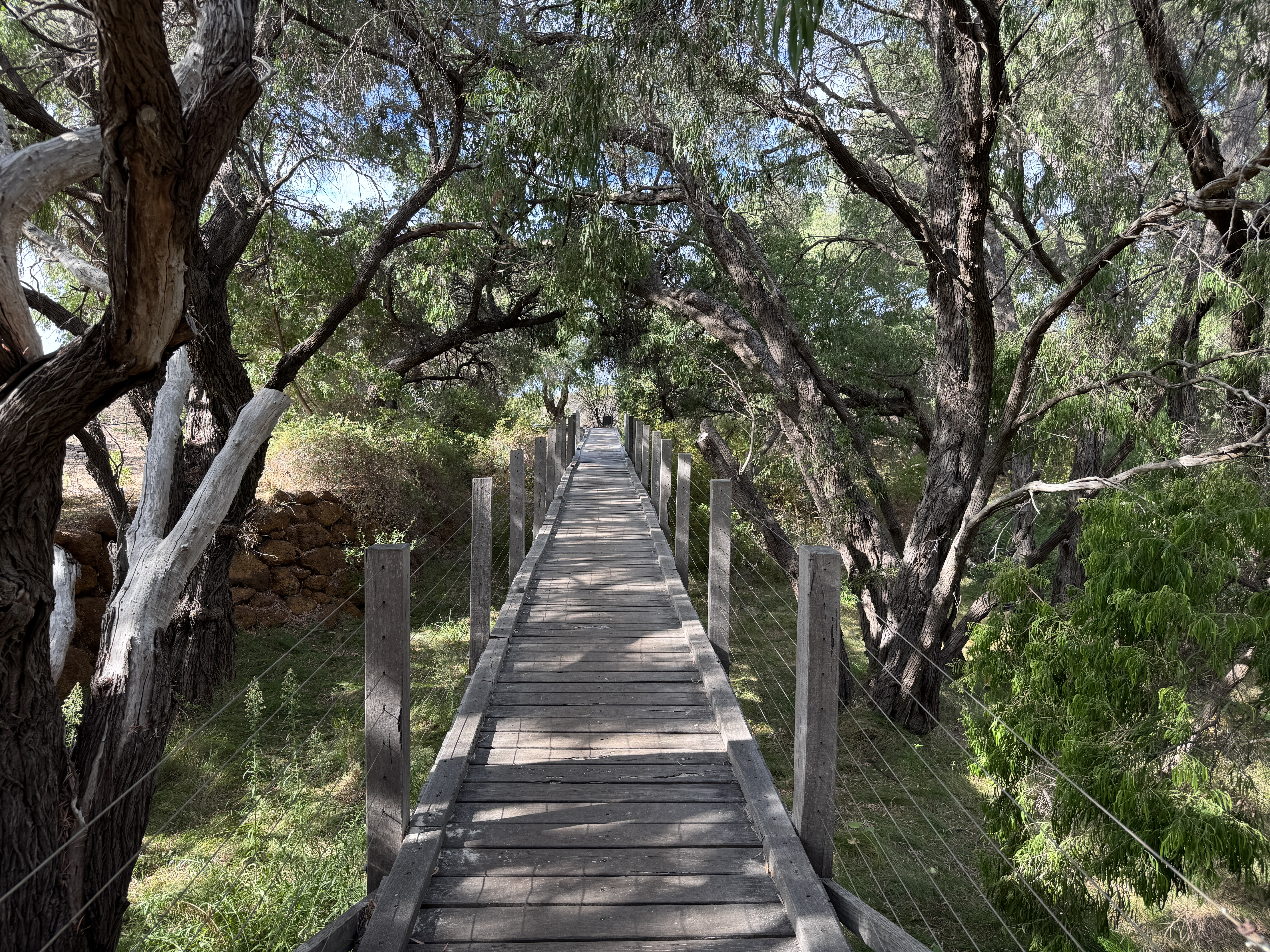 Pullman Bunker Bay Resort beach path grove Pullman Bunker Bay Resort beach path grove