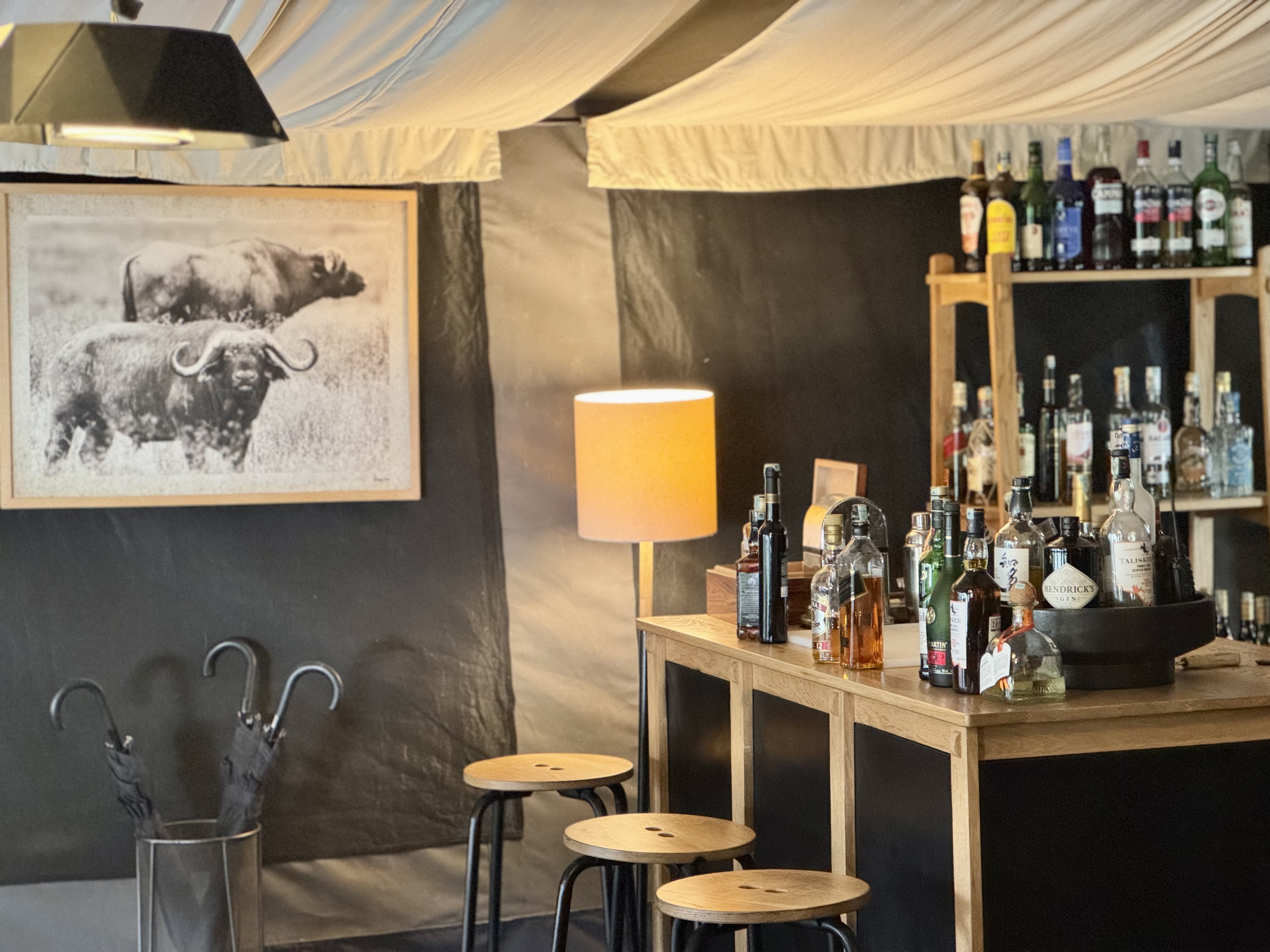 Sancturary Ngorongoro Camp lounge bar