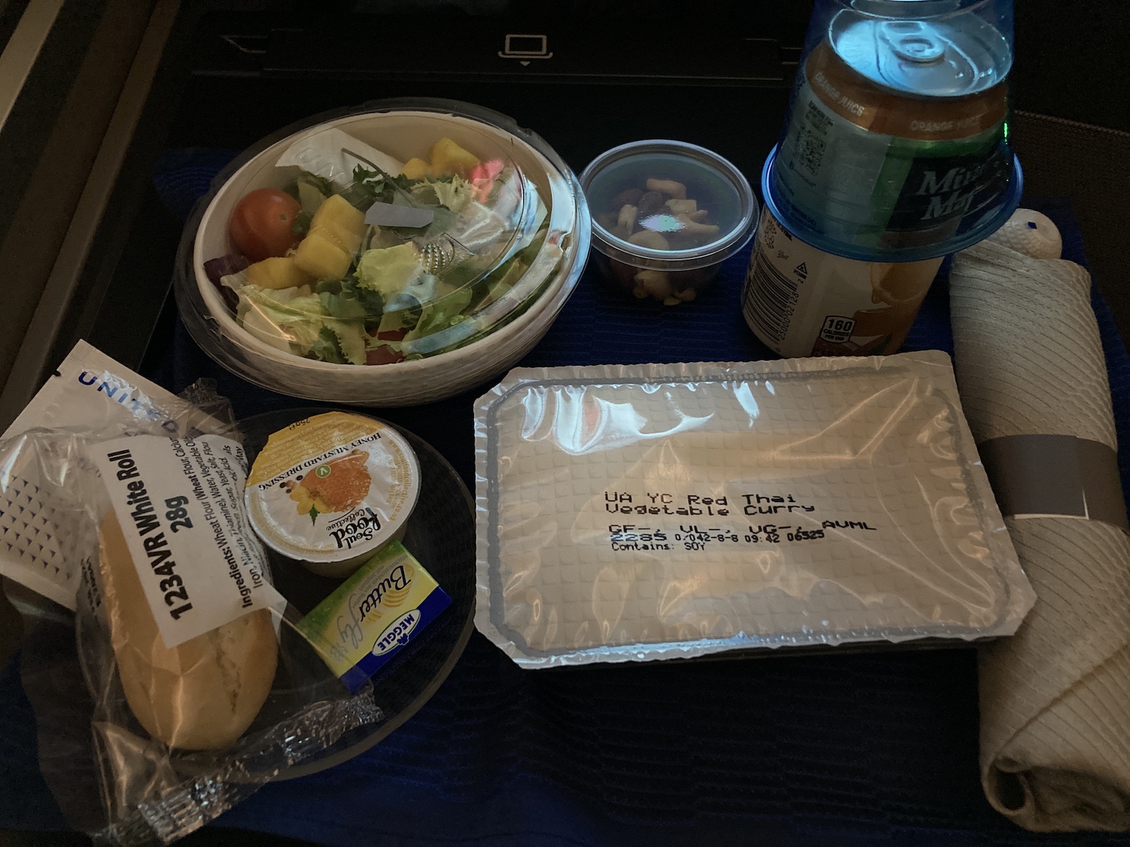 United Airlines economy Thai curry vegan option United Airlines economy Thai curry vegan option
