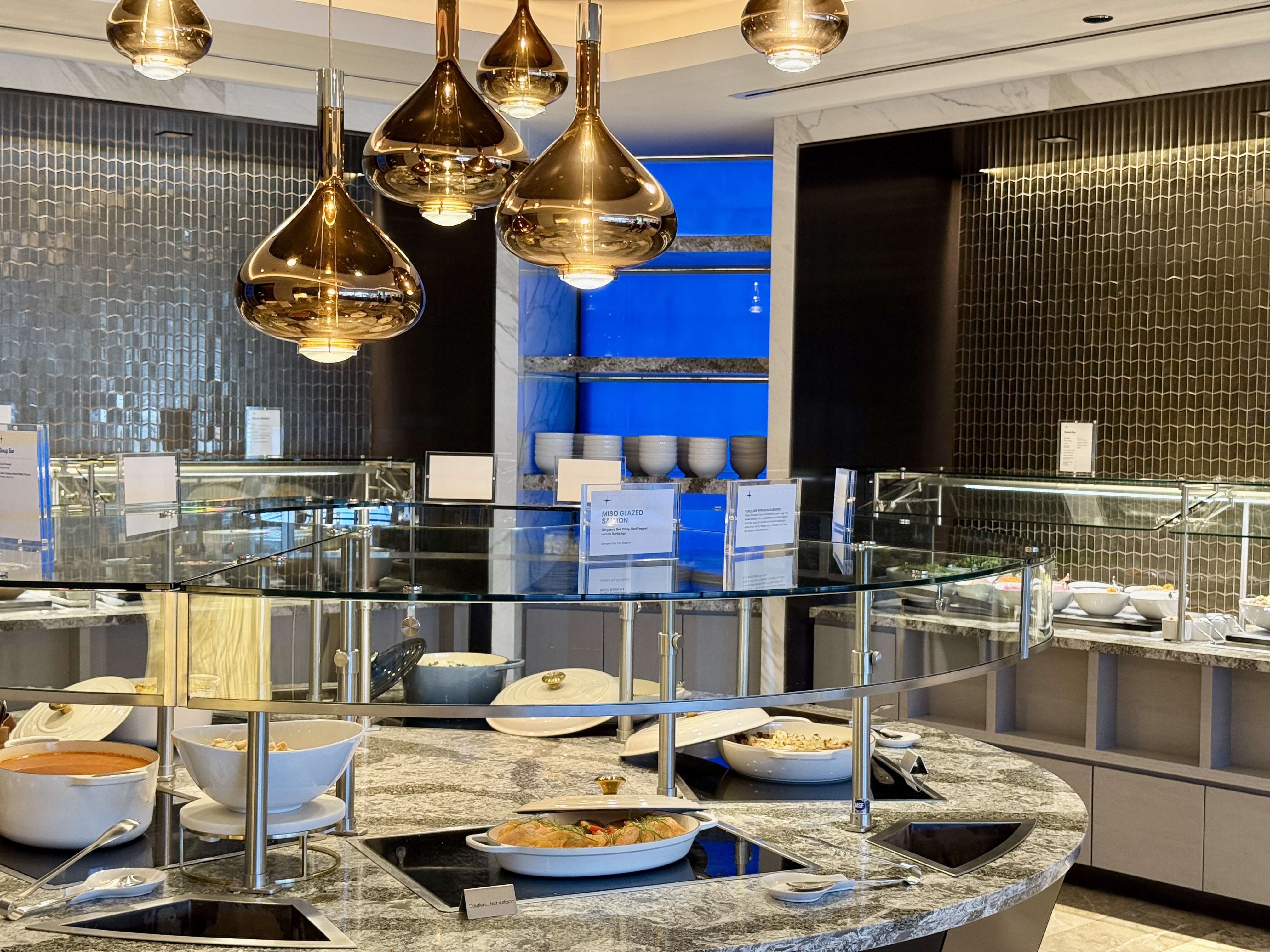 United Polaris Lounge Chicago Buffet Hot Dishes Detail