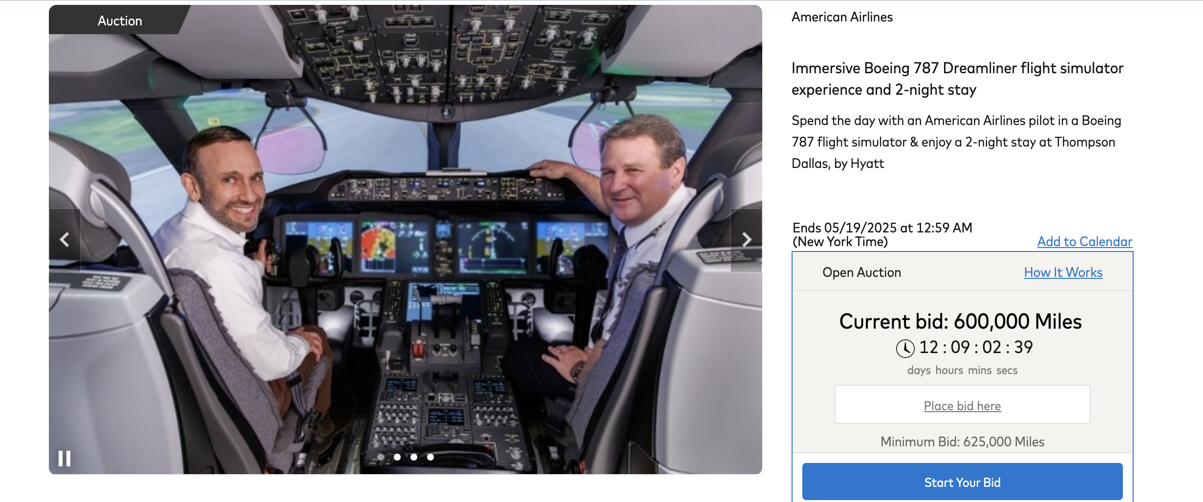 AA Auction Flight Simulator AA Auction Flight Simulator