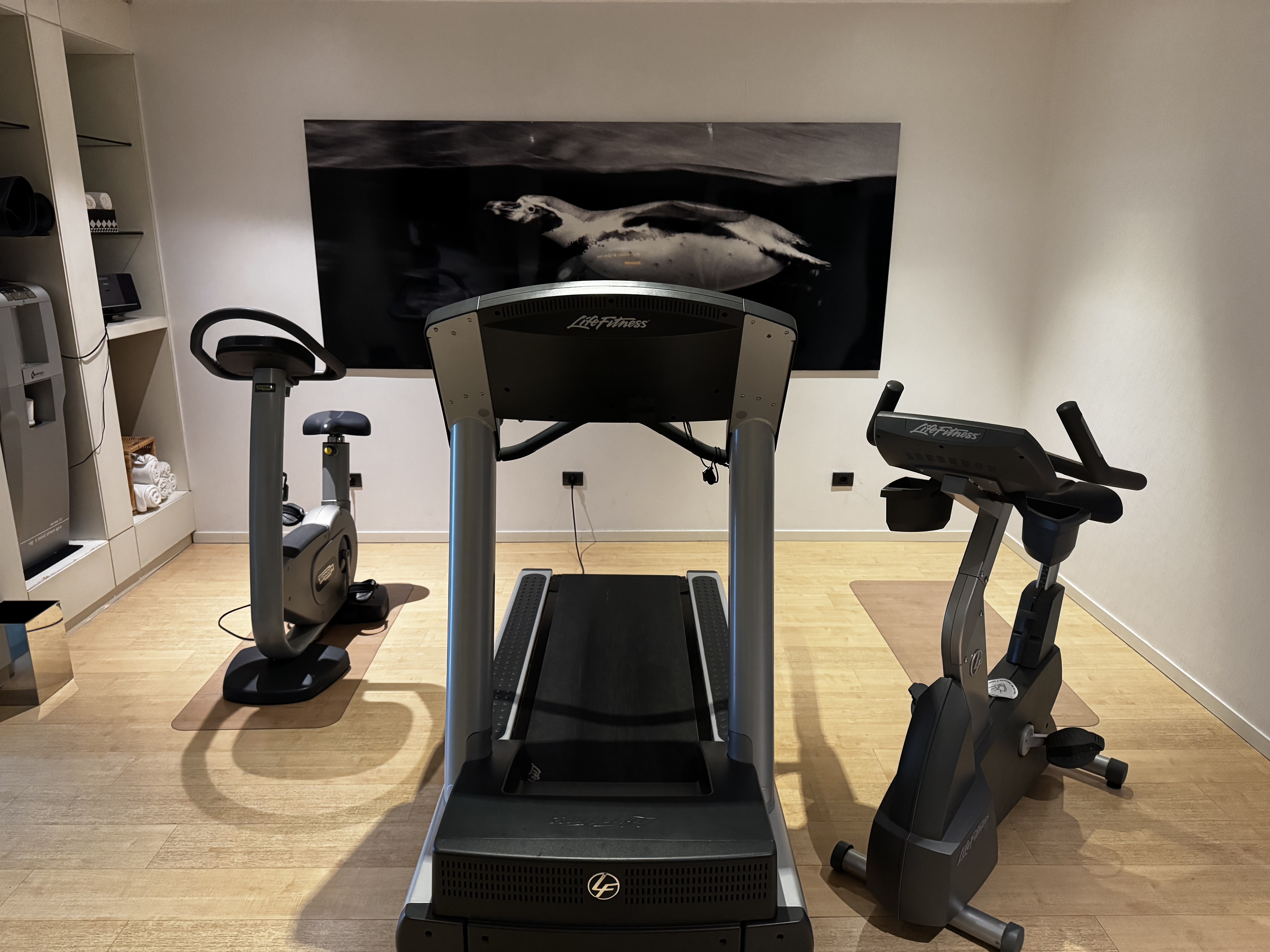 AC Hotel La Finca gym cardio machines AC Hotel La Finca gym cardio machines