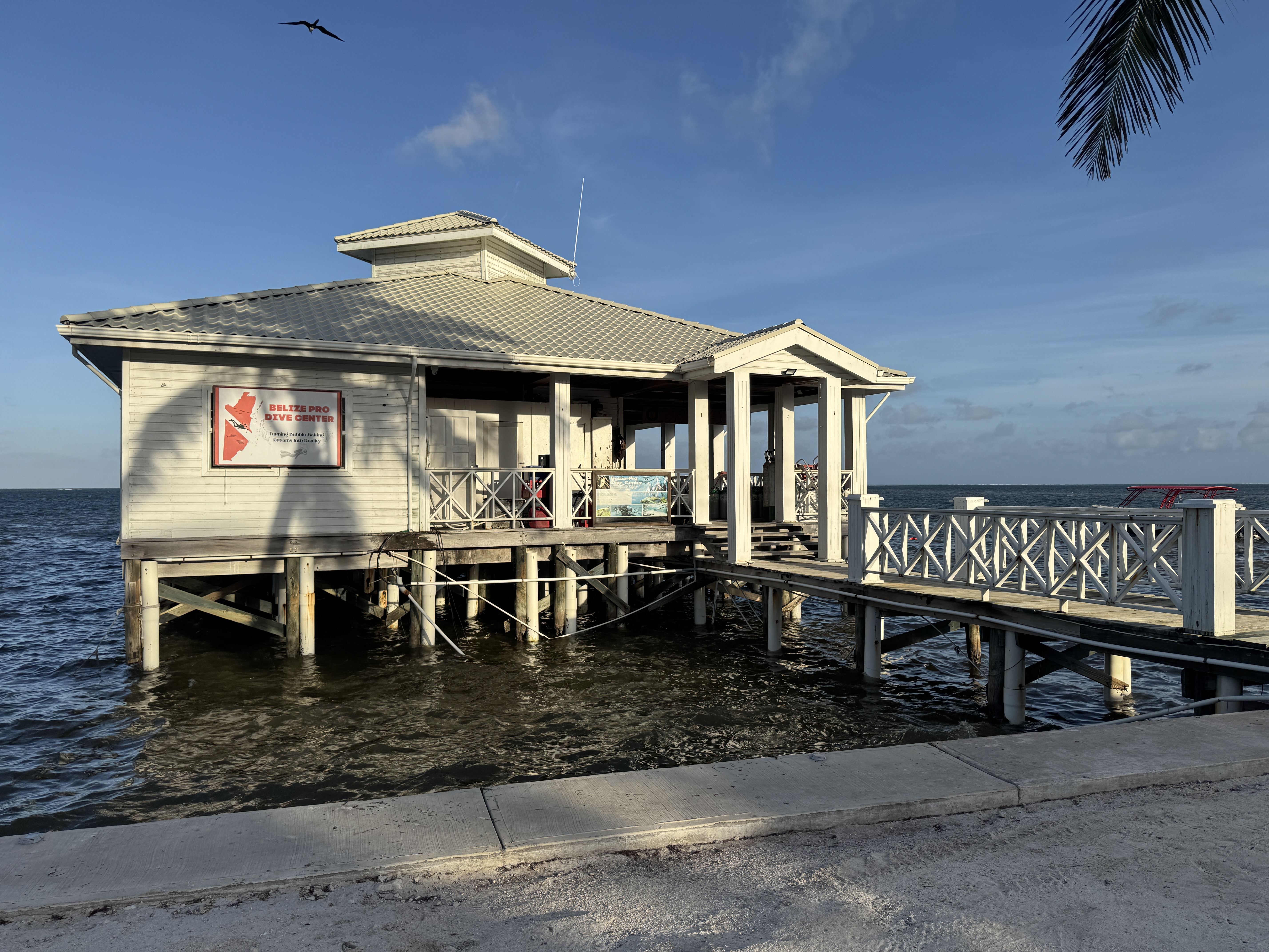 Alaia Belize Dive Center Alaia Belize Dive Center