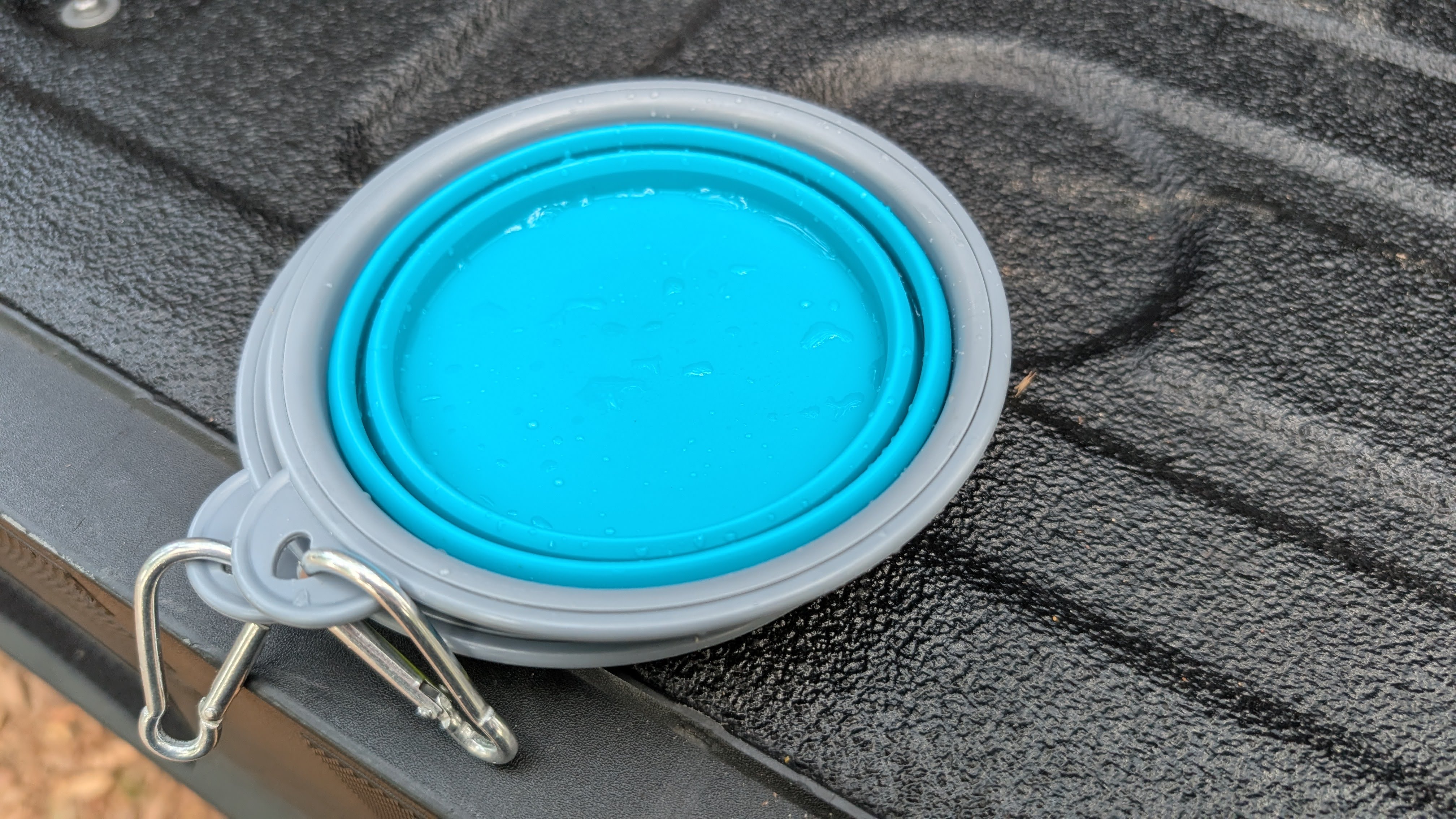 Collapsible dog food bowl