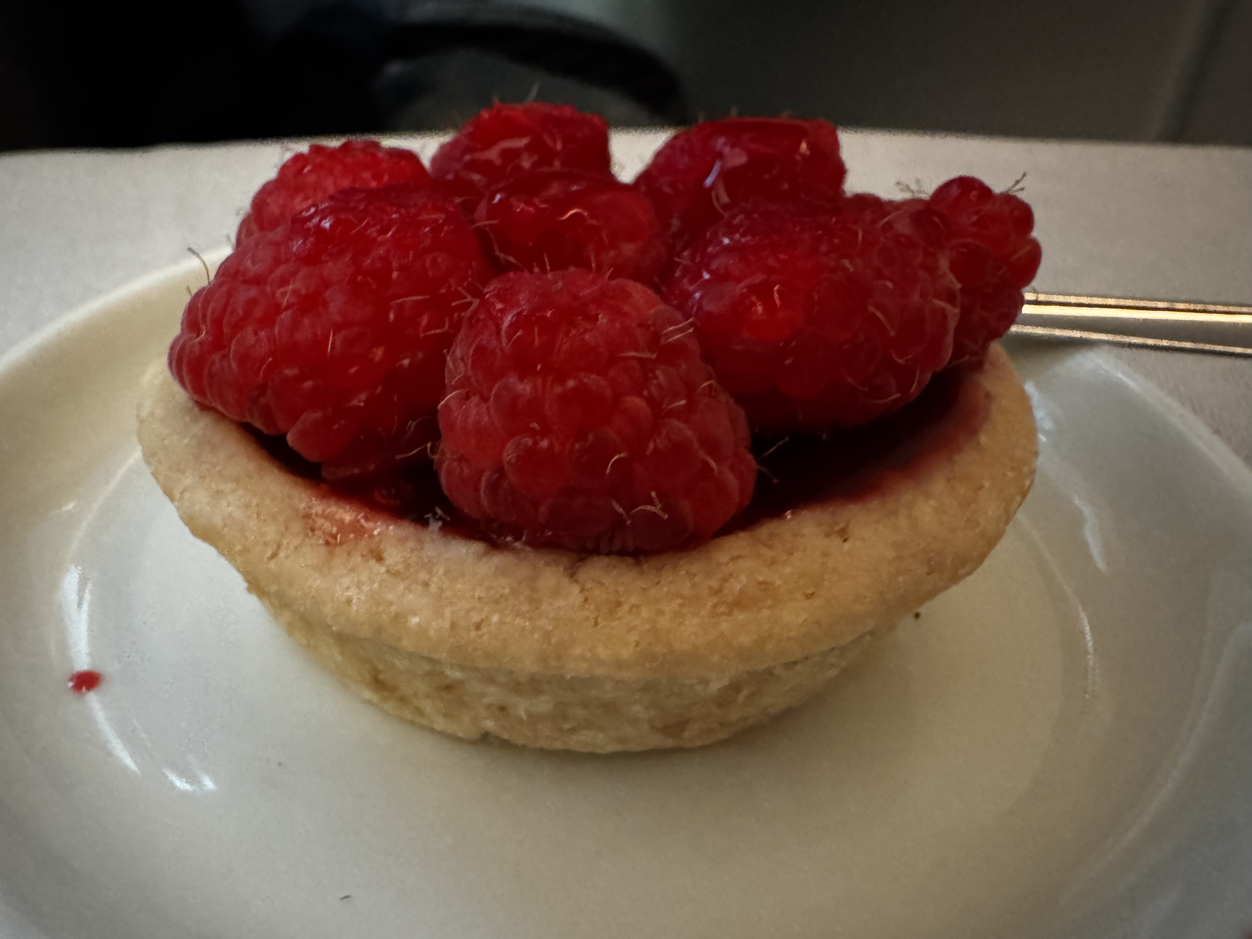 Finnair A350XWB business class vegan dessert