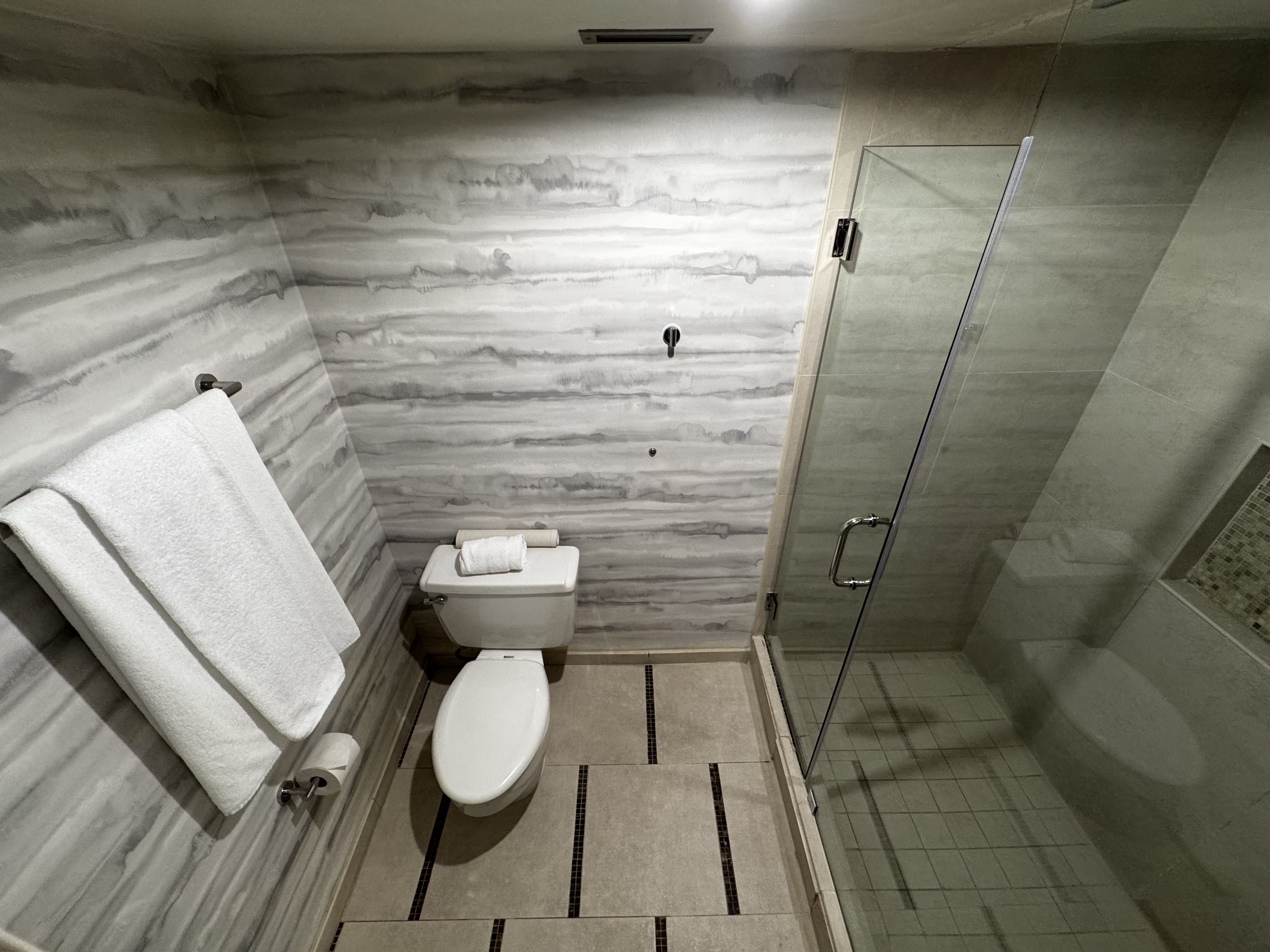 Hyatt Regency DFW bathroom toilet shower