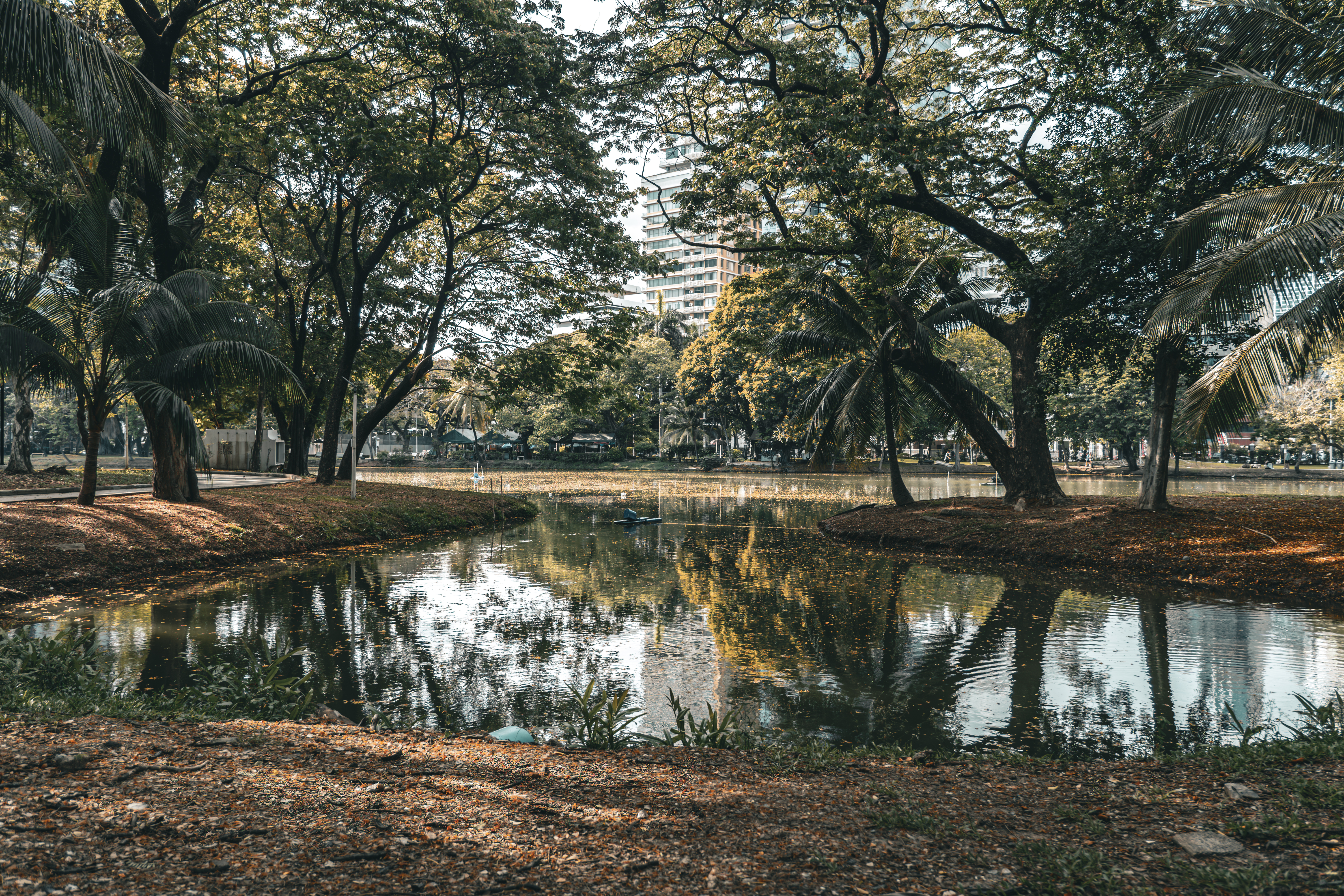 Lumphini Park Lumphini Park