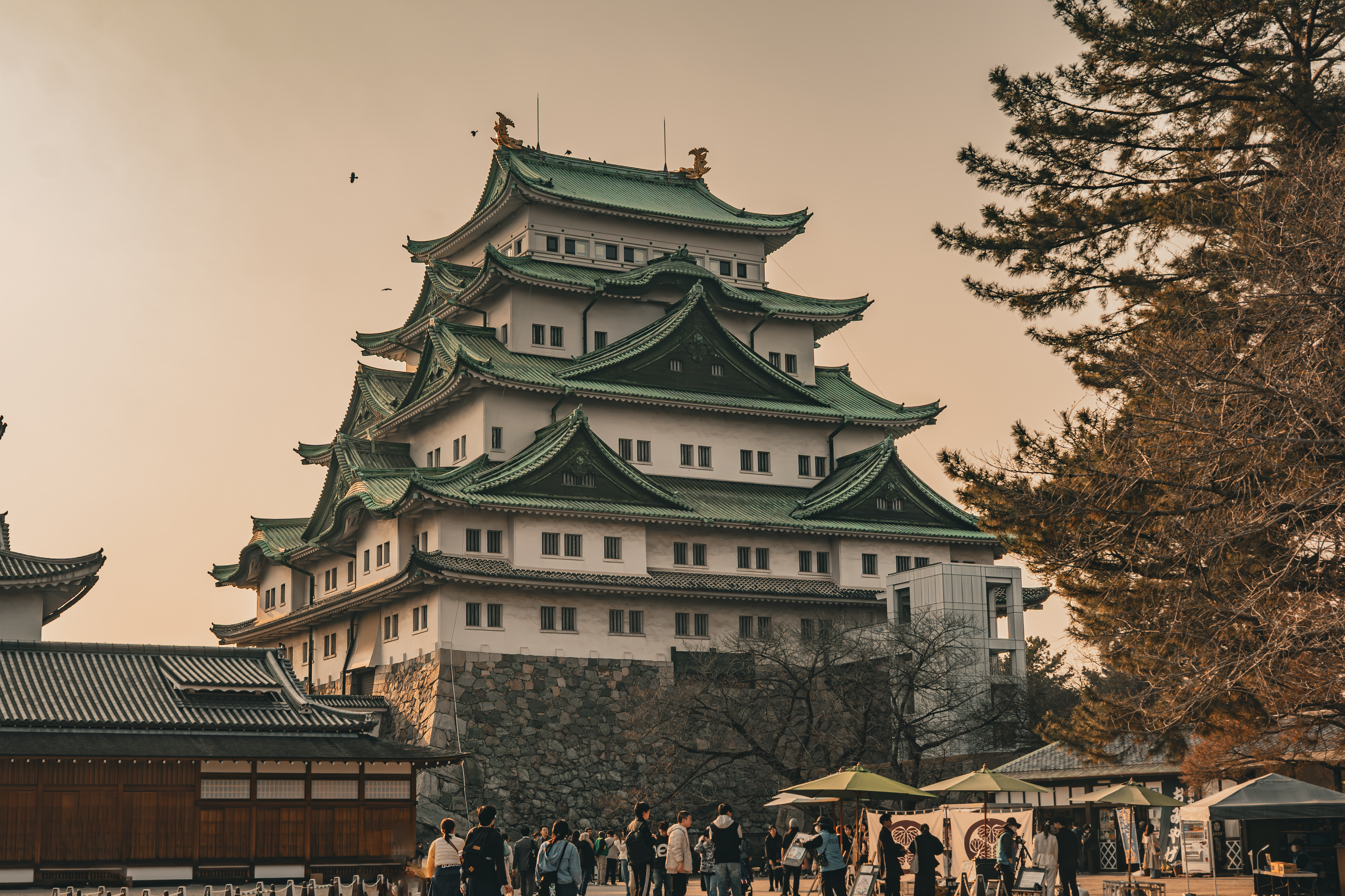 Nagoya Castle close Nagoya Castle close