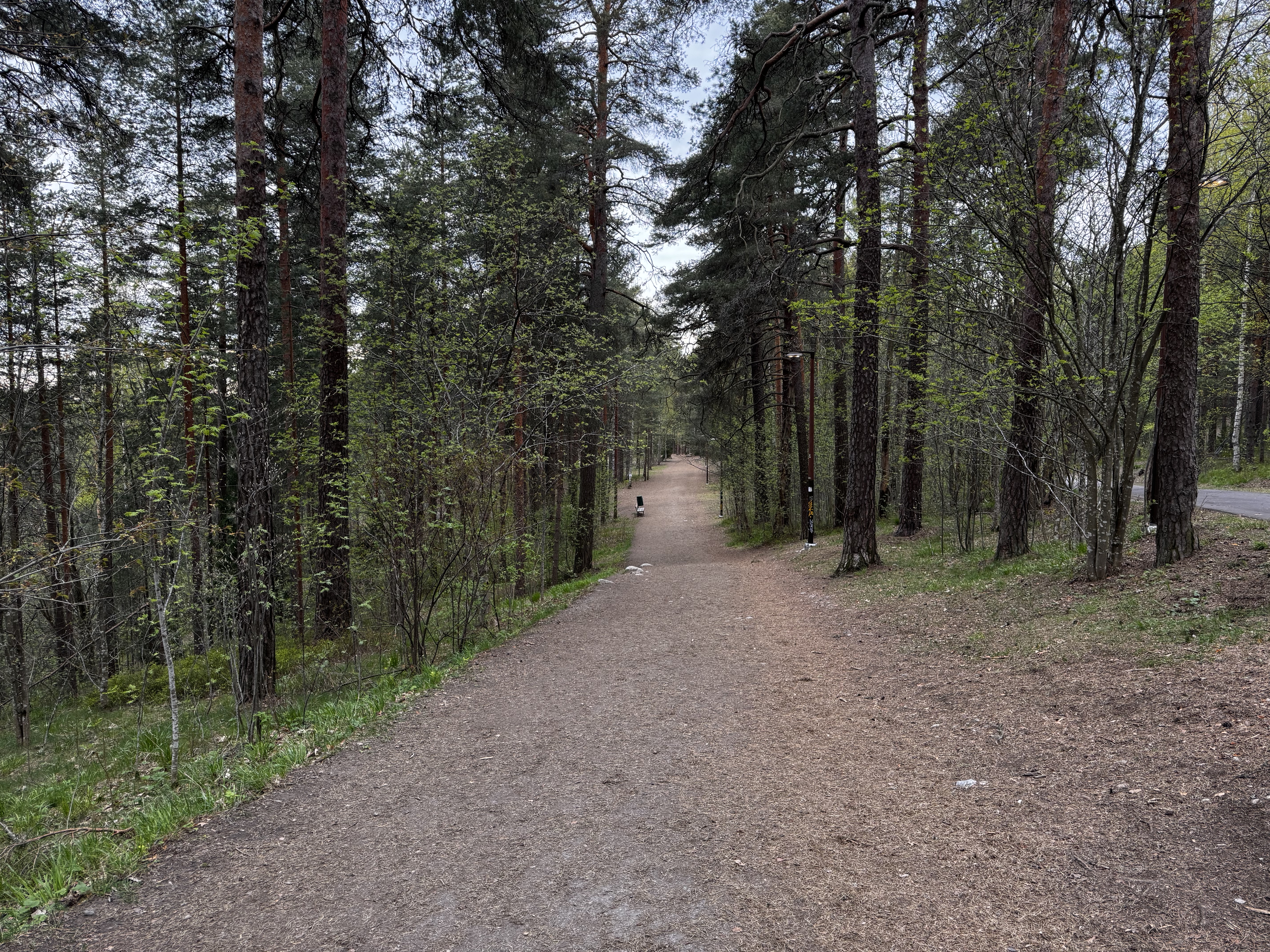 Pyynikki Nature Reserve Tampere path Pyynikki Nature Reserve Tampere path