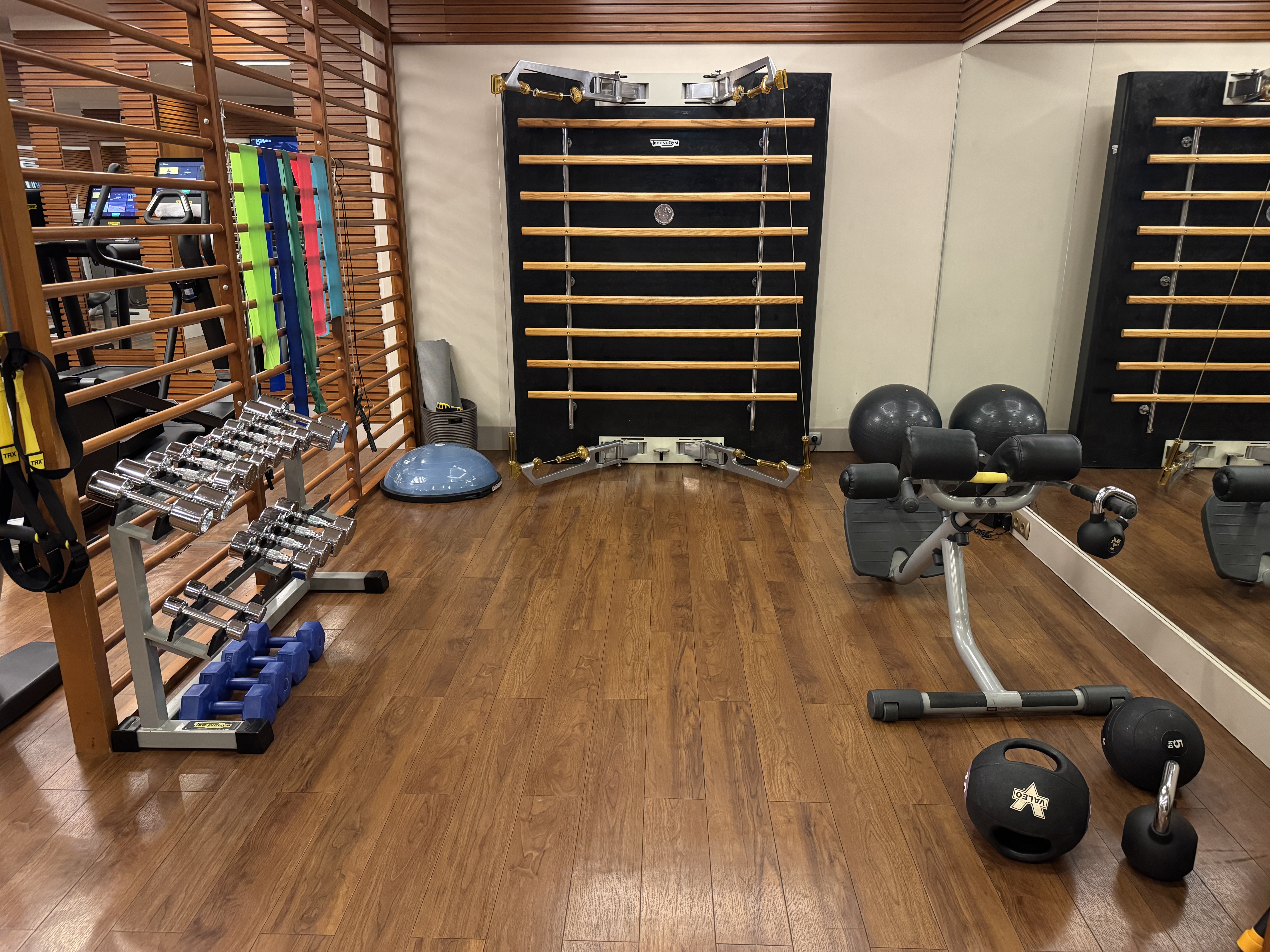 Ritz Carlton Istanbul gym free weights Ritz Carlton Istanbul gym free weights