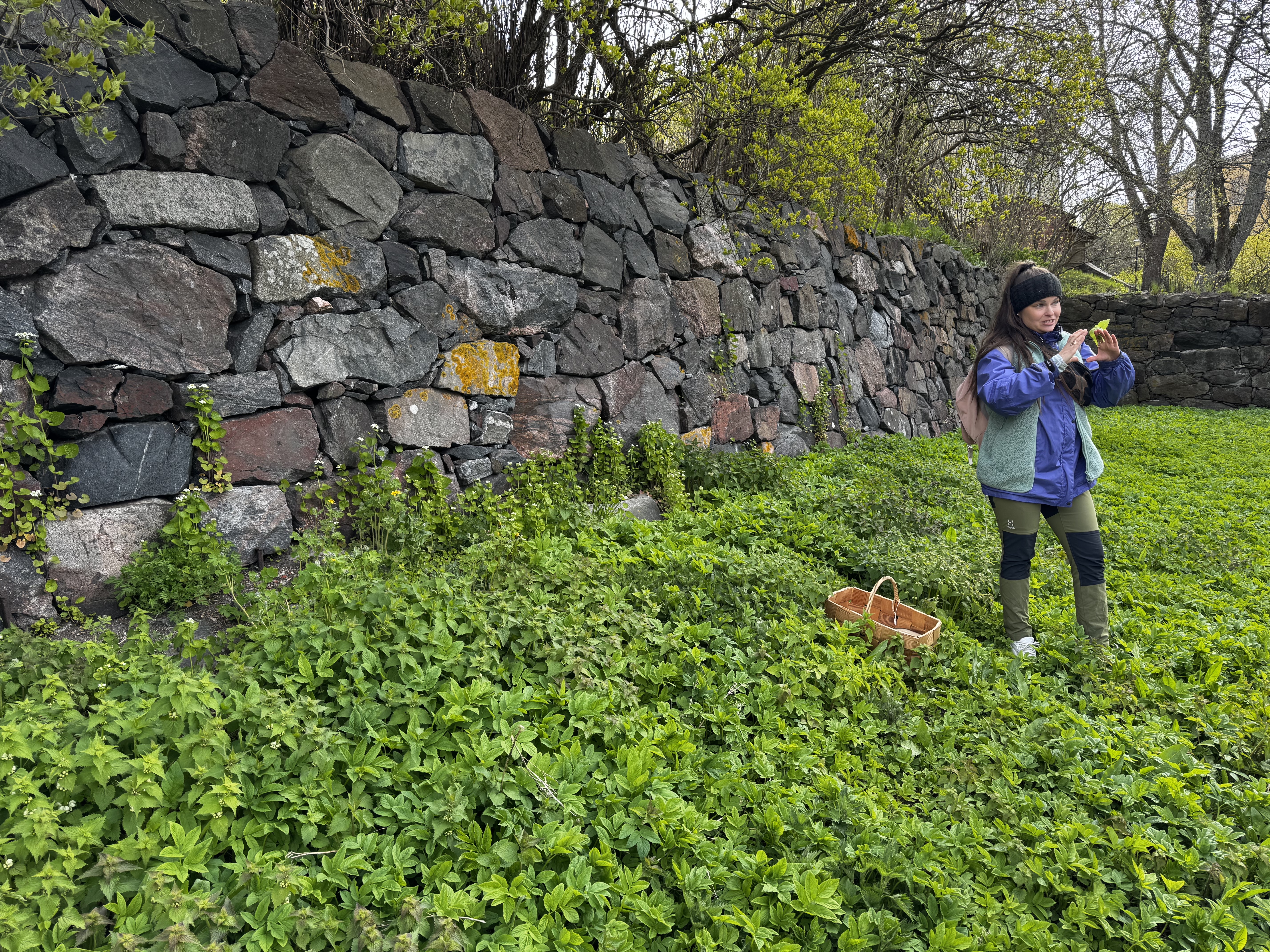 Suomenlinna Helsinki foraging walk Suomenlinna Helsinki foraging walk