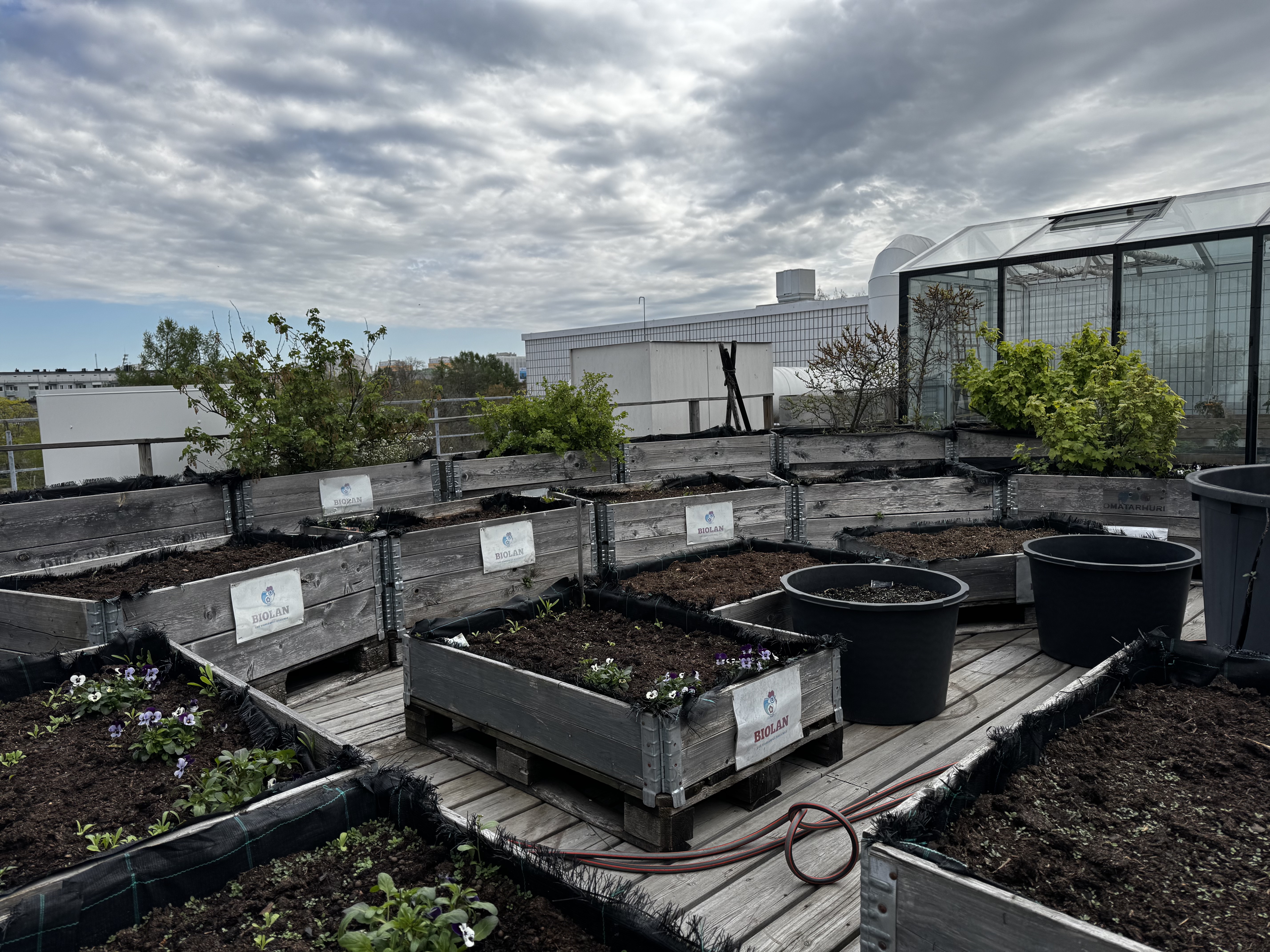 Tampere Hall rooftop garden Tampere Hall rooftop garden