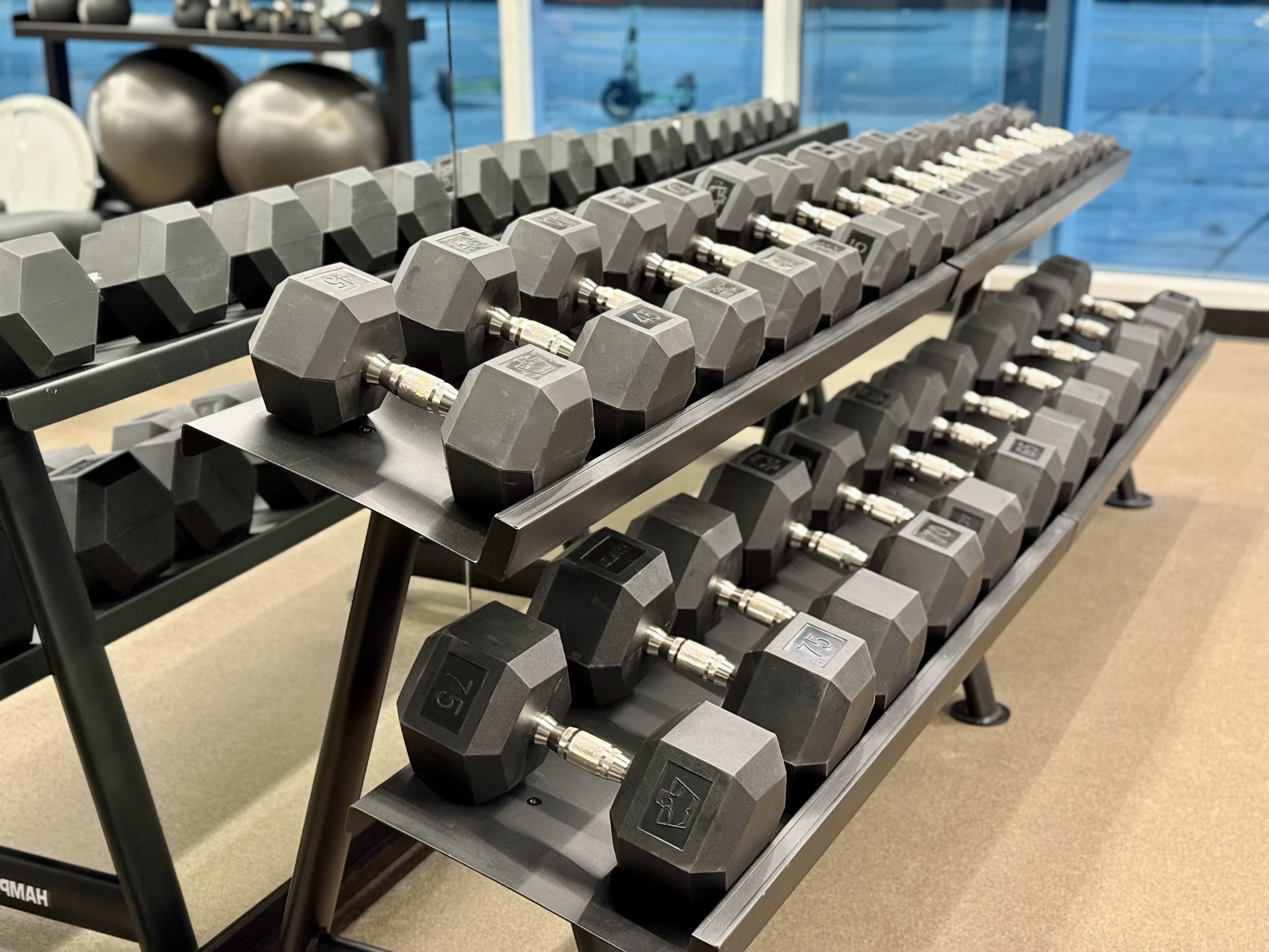 W Hollywood gym weights W Hollywood gym weights