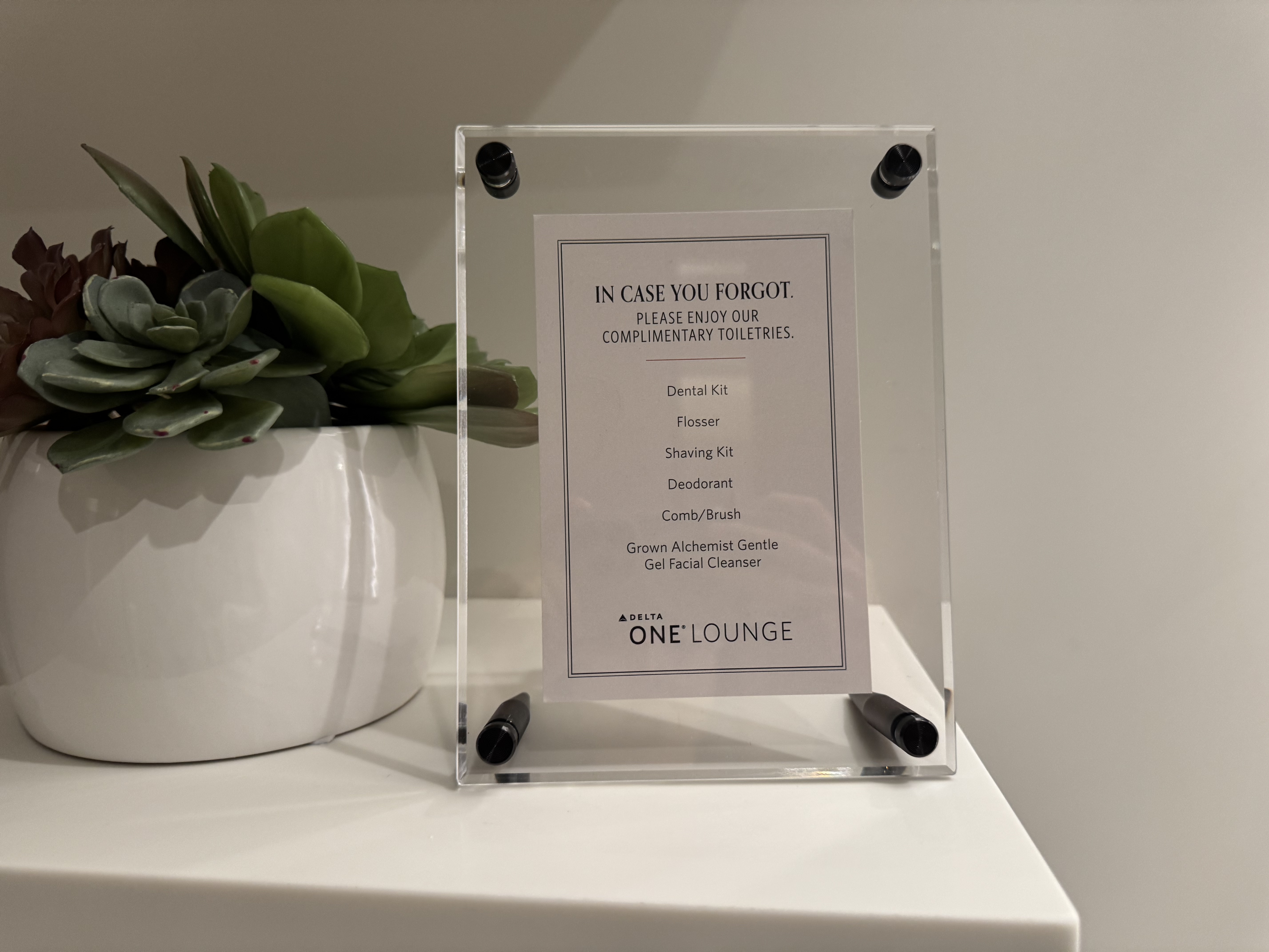 Delta One Lounge Shower Products
