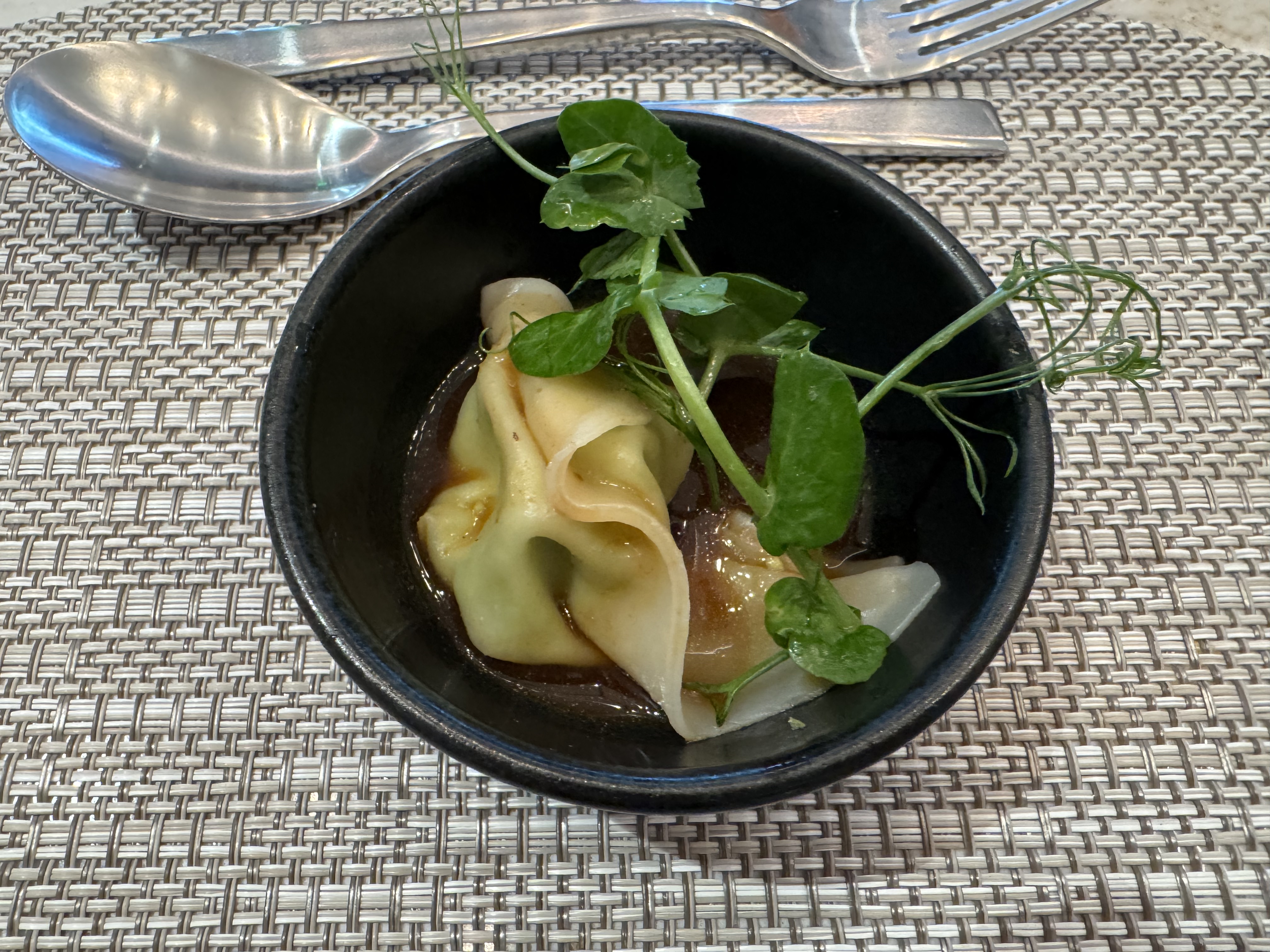 Edamame Dumplings Delta One SEA