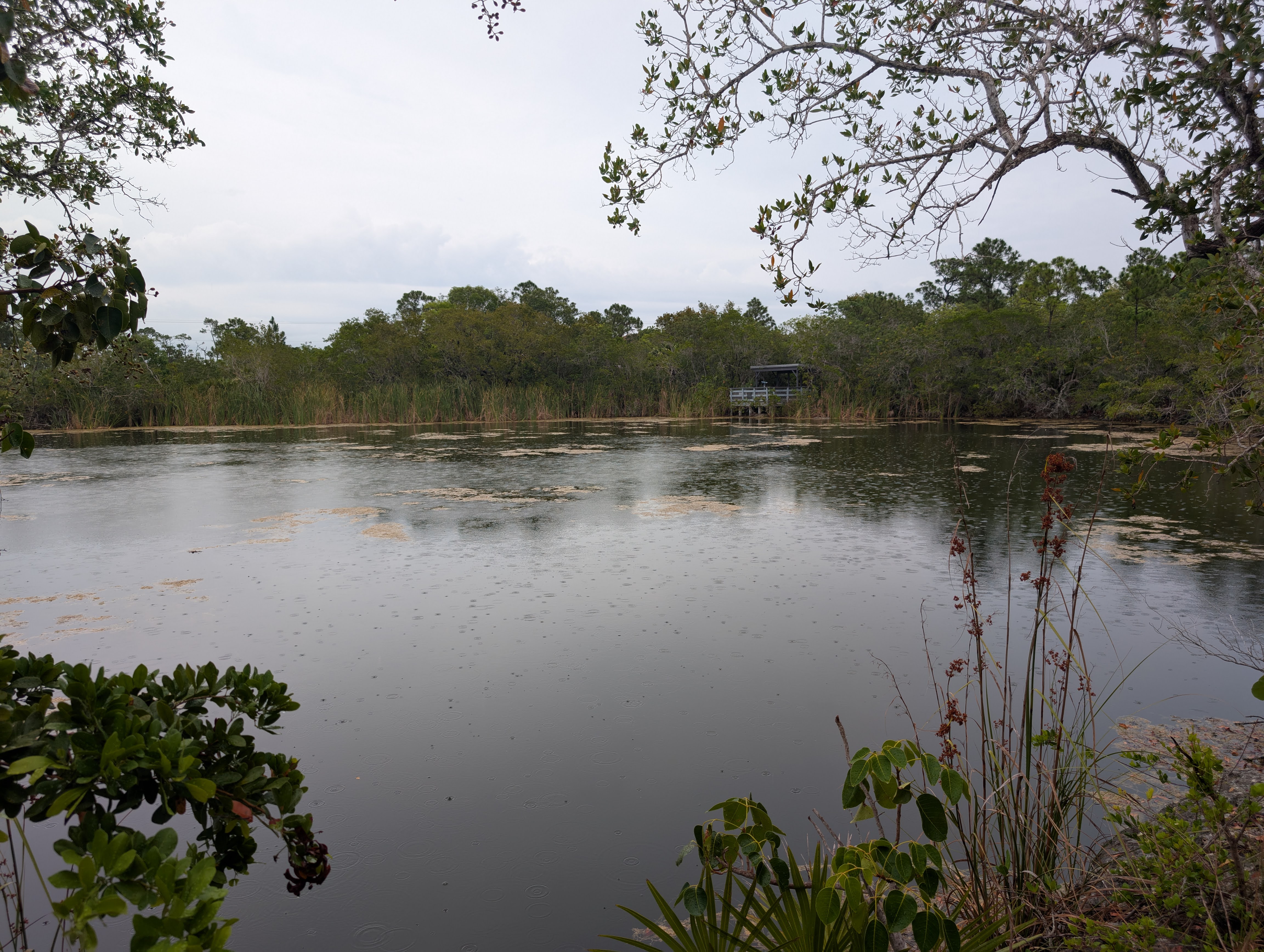 Florida Overseas Highway road trip Blue Hole Observation back view at the National Key Deer Refuge