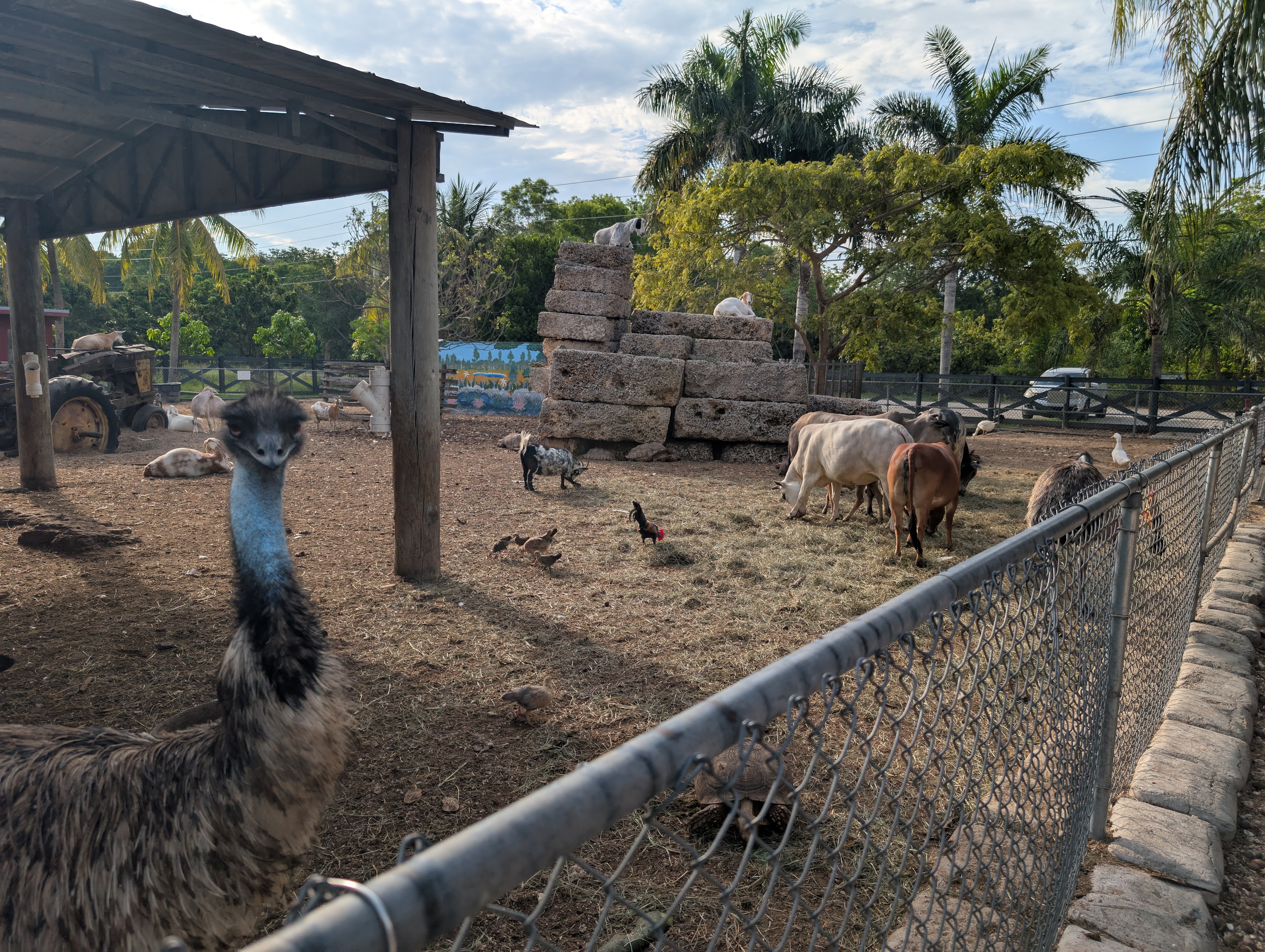 Florida Overseas Highway road trip Robert is Here fruit stand animals