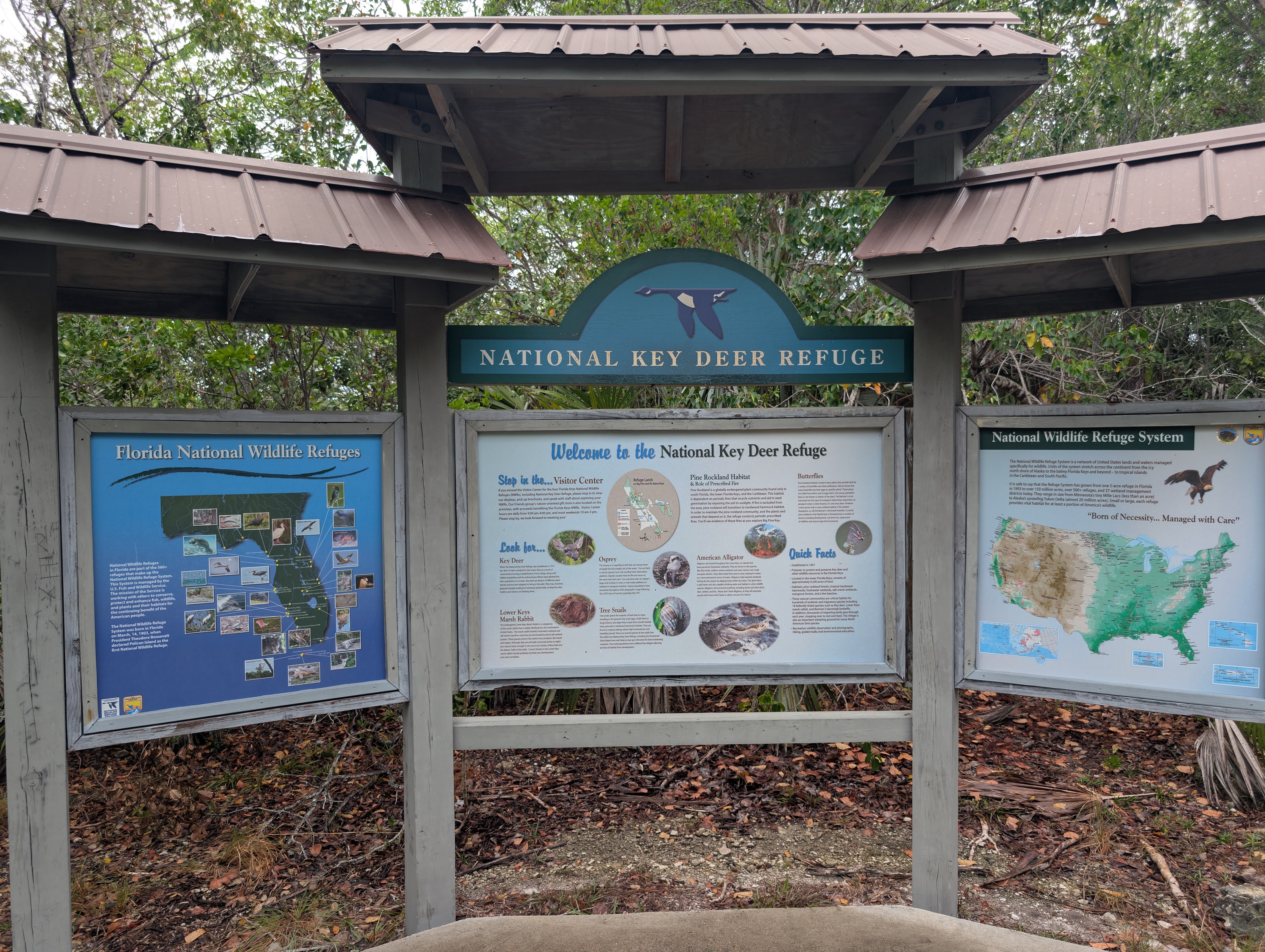 Florida Overseas Highway road trip key deer refuge