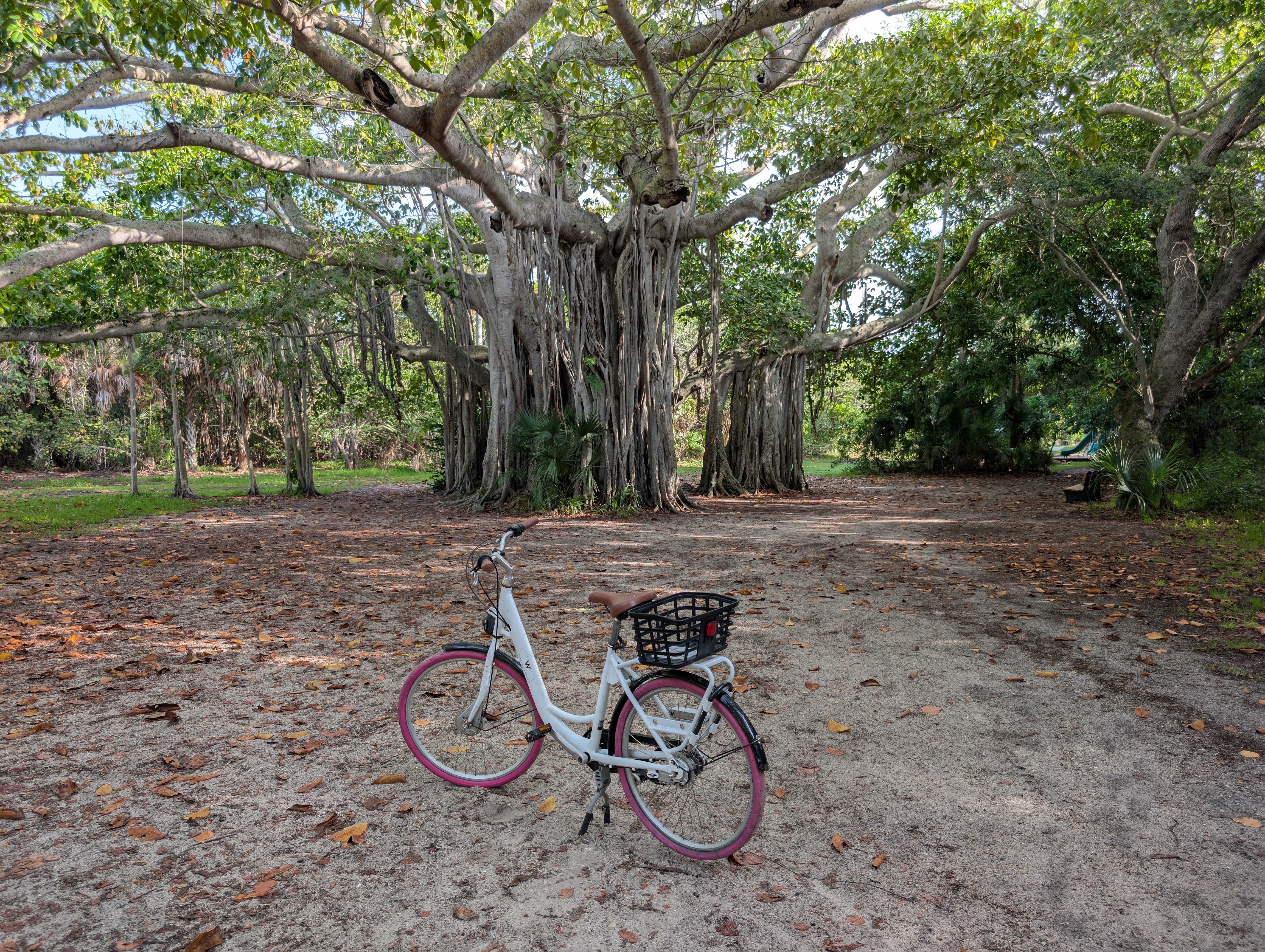W Fort Lauderdale amenities W Bikes Hugh Taylor Birch State Park