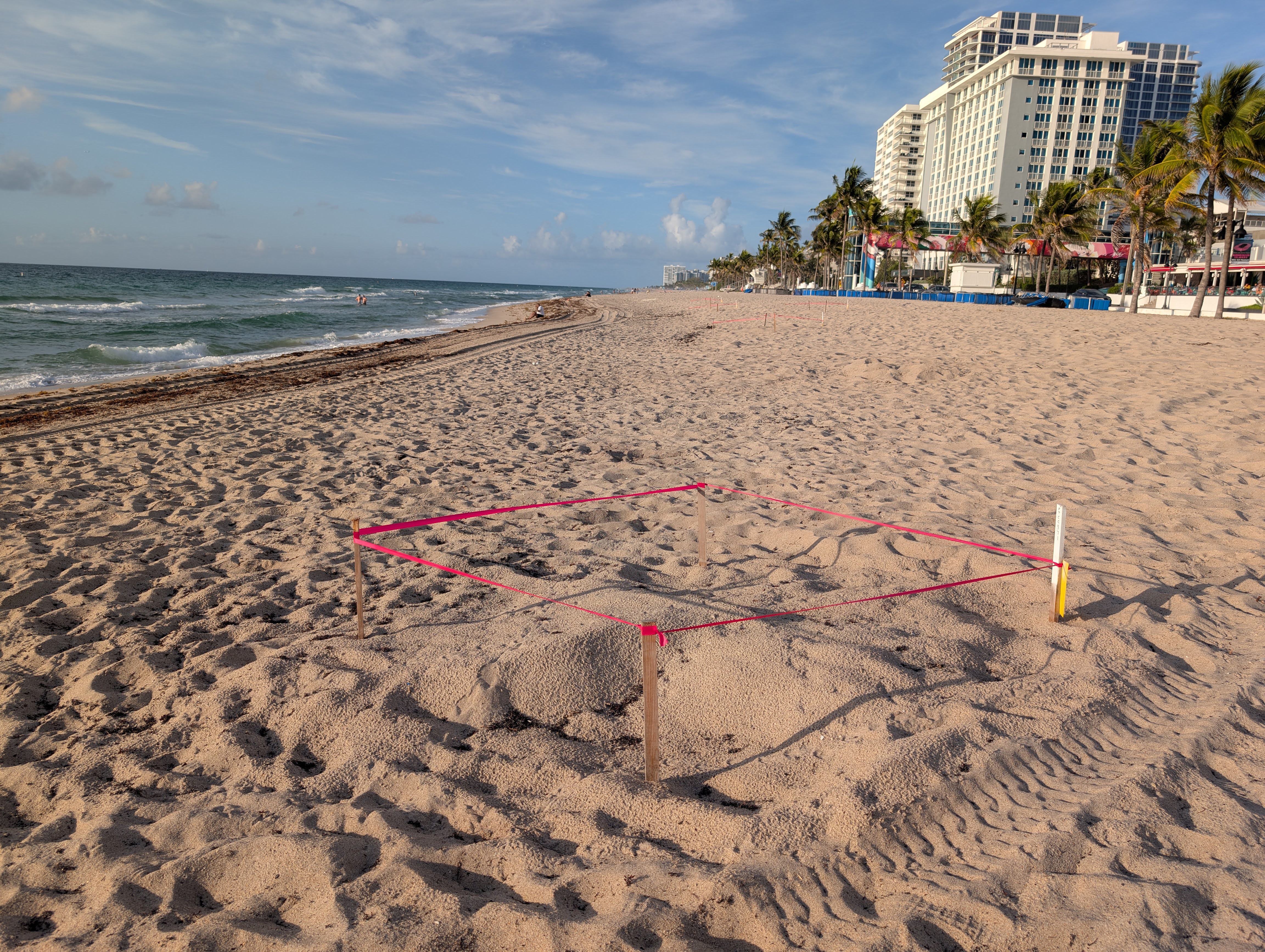 W Fort Lauderdale amenities beach sea turtle nest