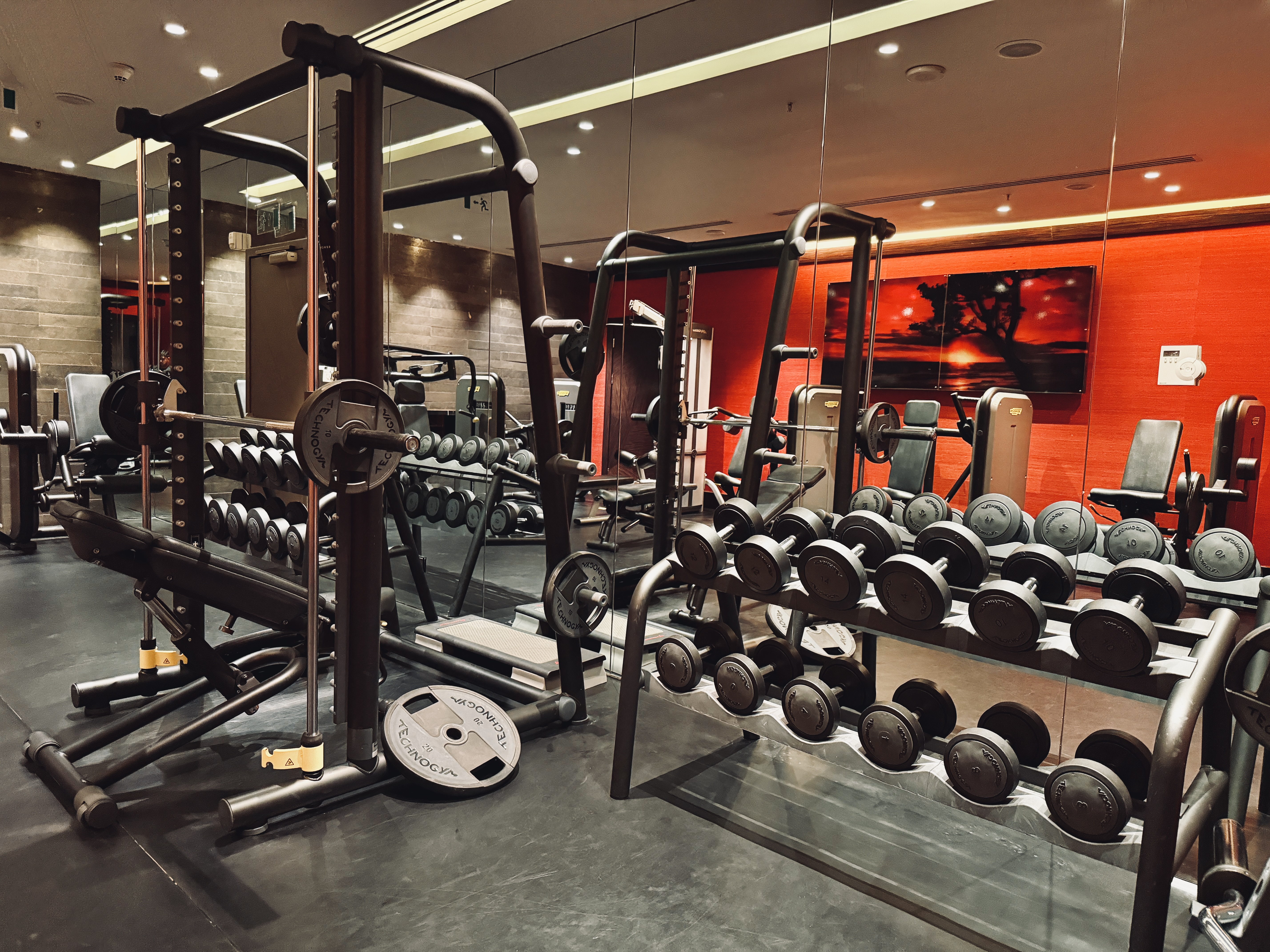 Hyatt Centric Levent Istanbul bench press and weights