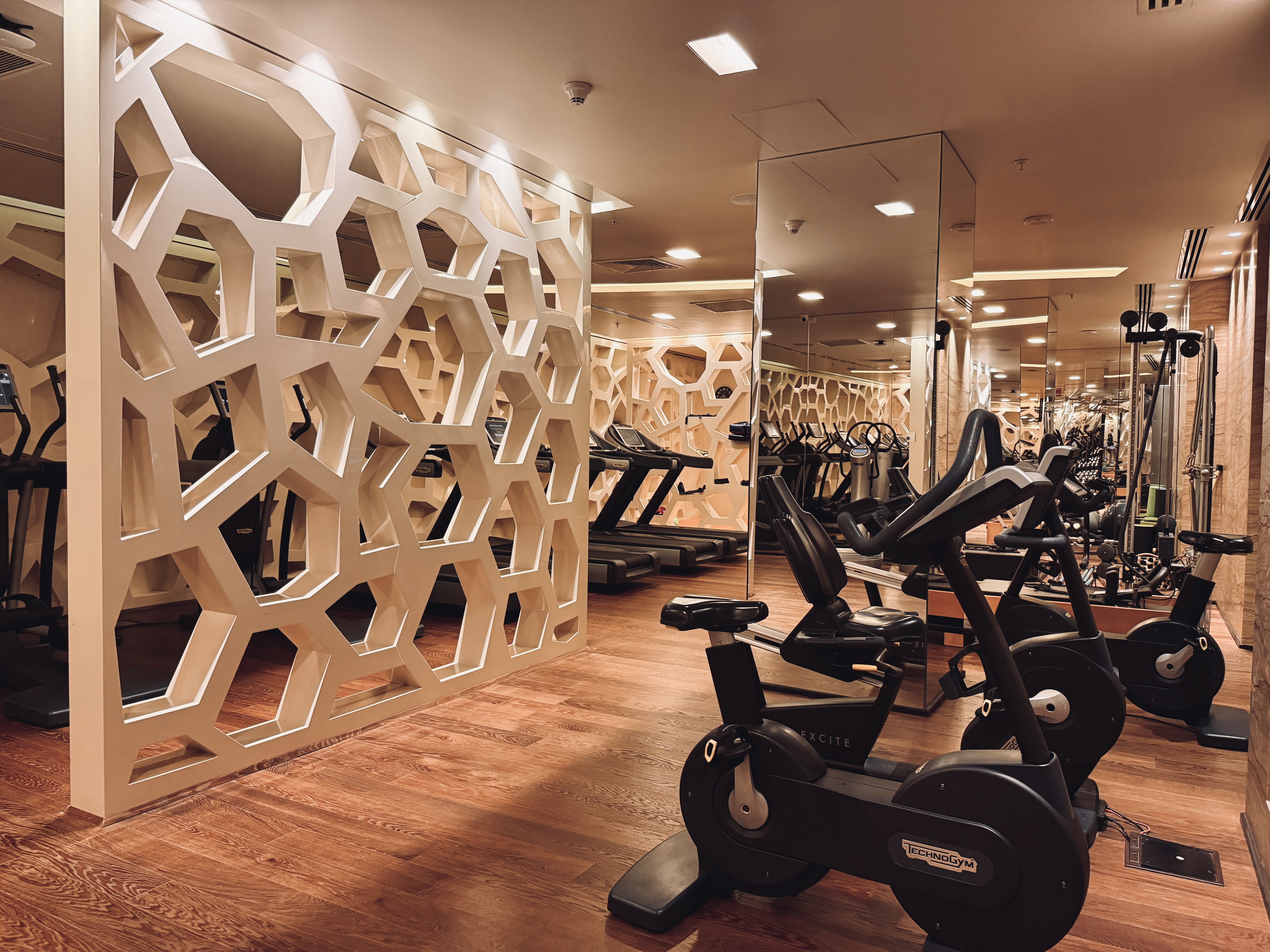 Hyatt Centric Levent Istanbul fitness