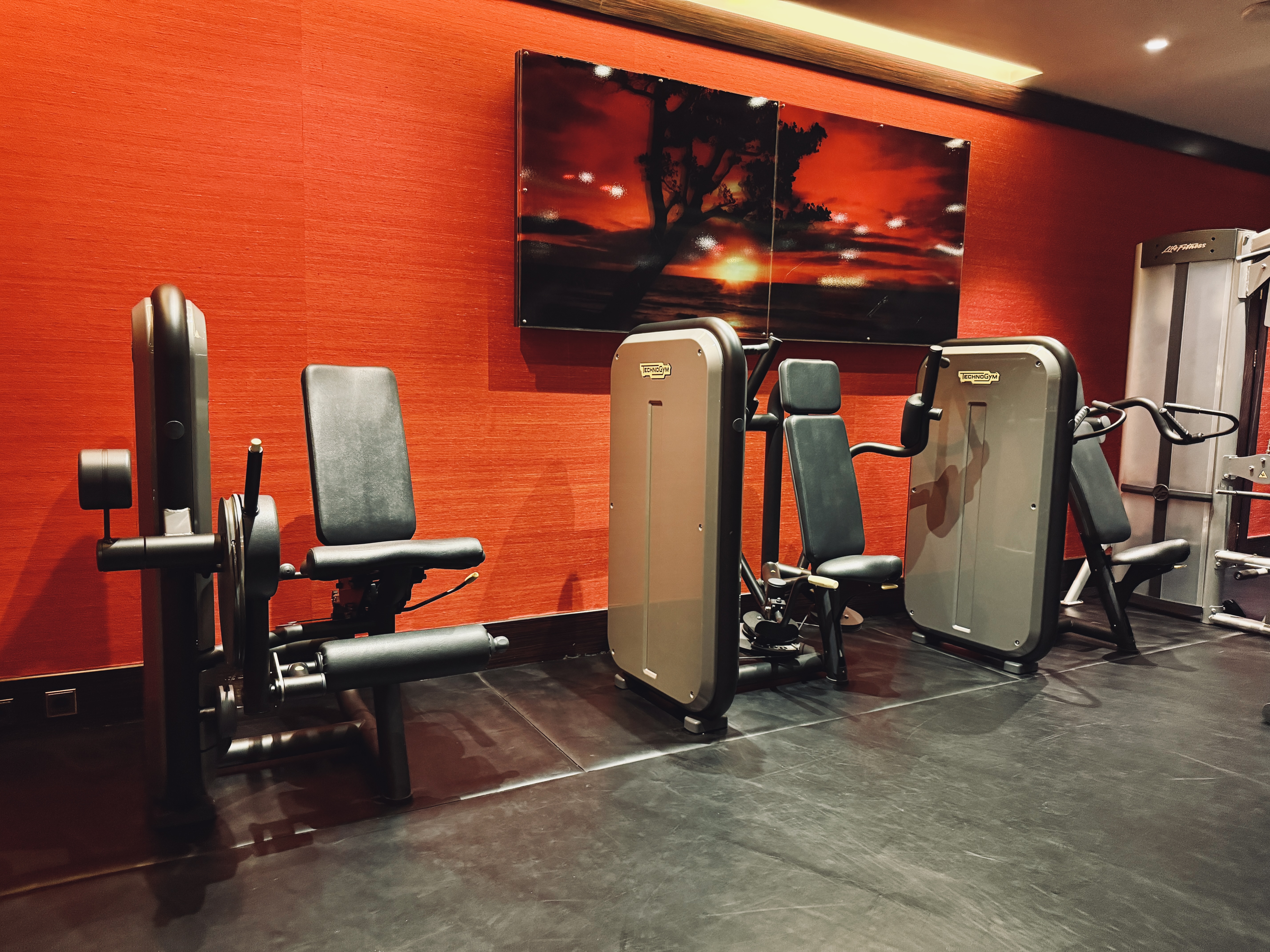 Hyatt Centric Levent Istanbul strength training