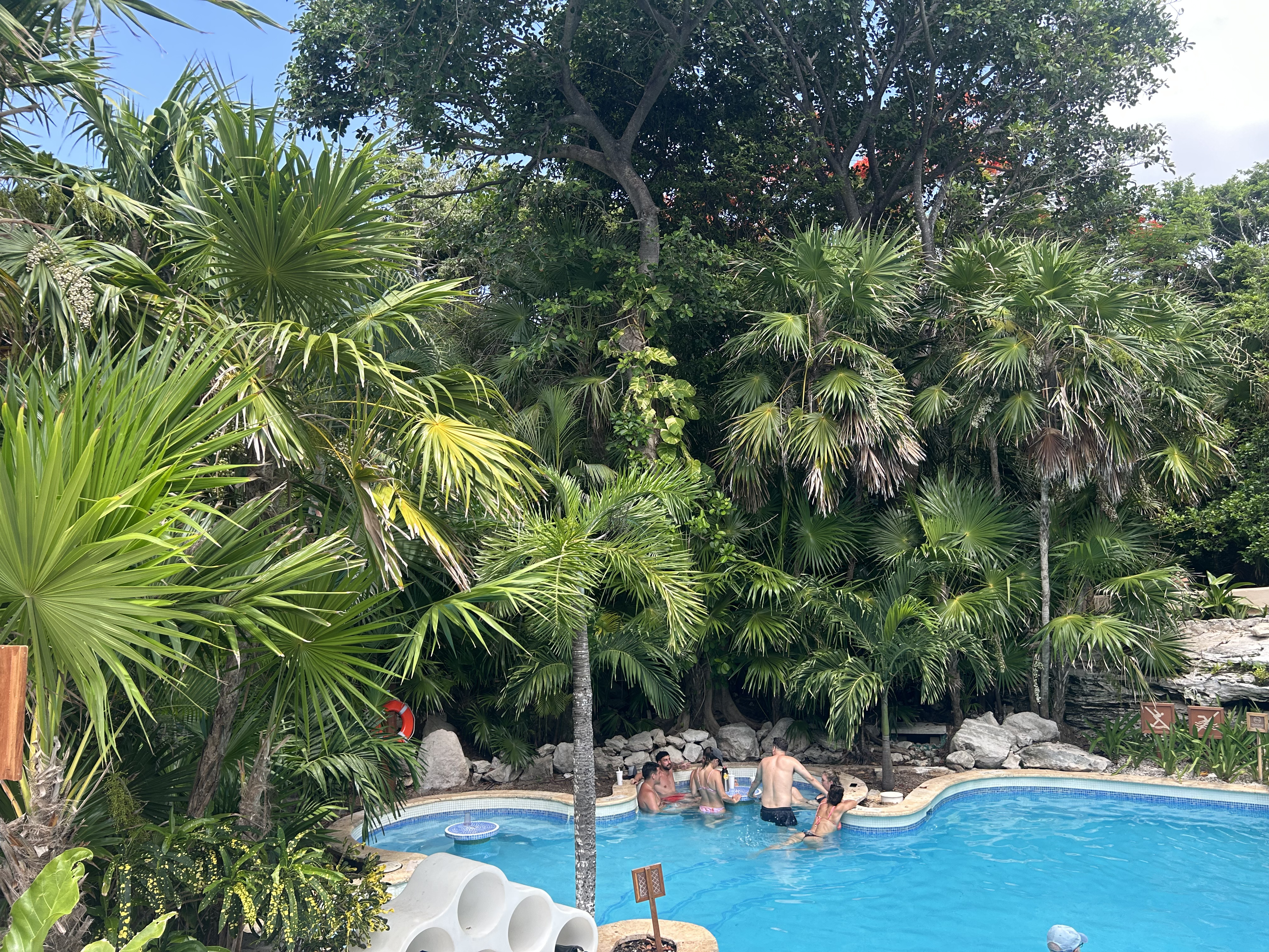 Swimming pool and foliage