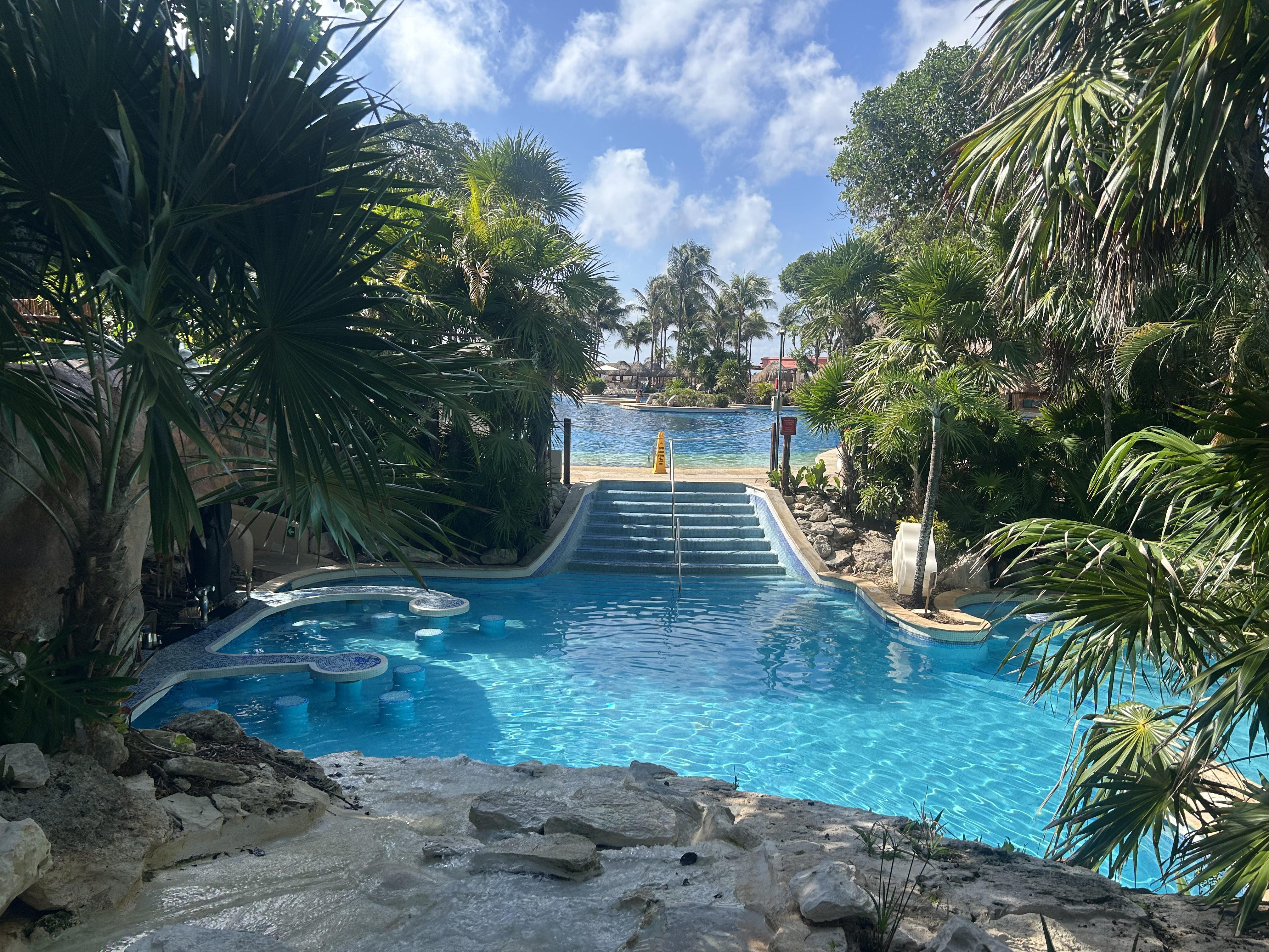 Pool and palm trees