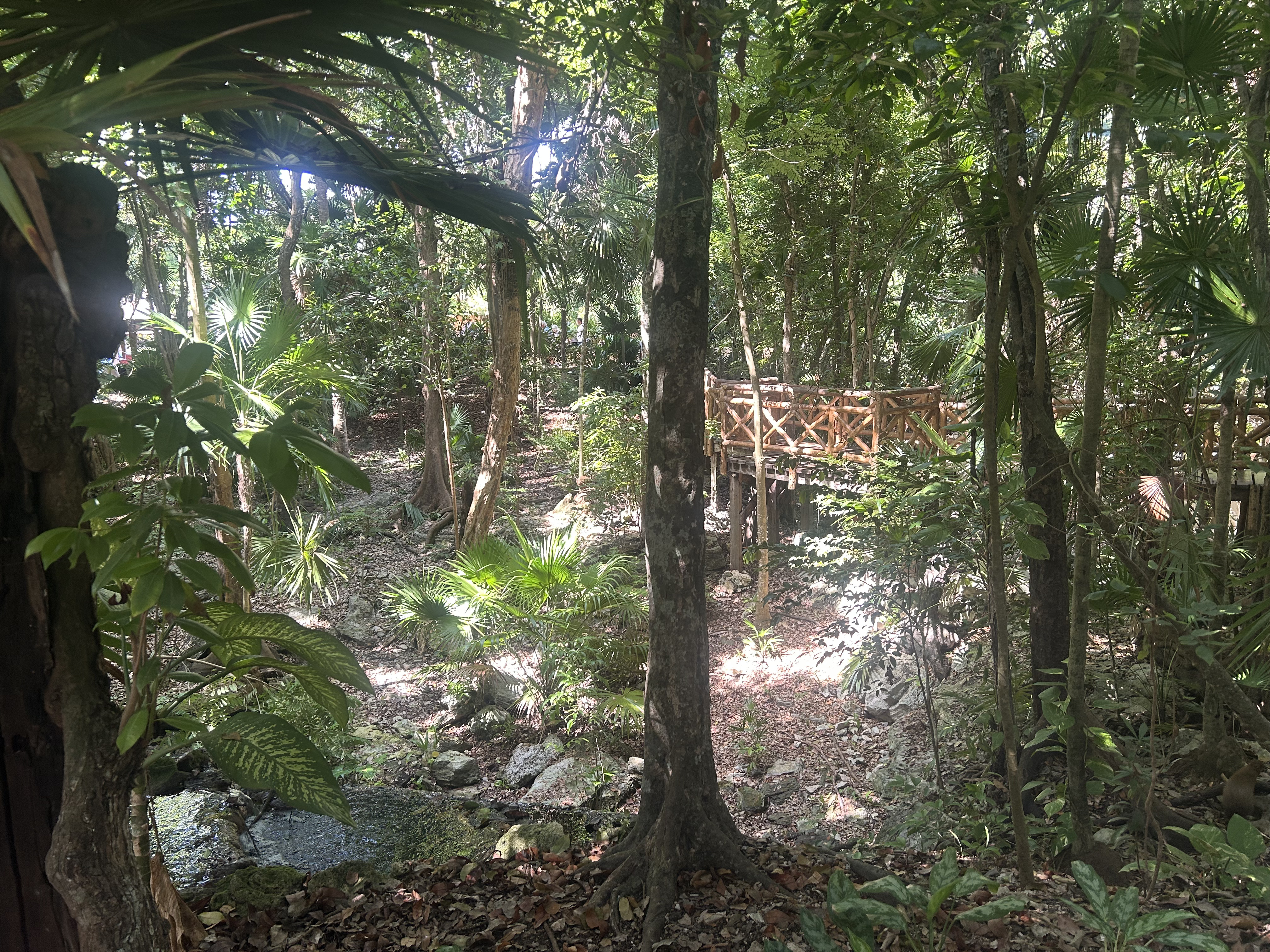 Iberostar Waves Quetzal jungle and bridges