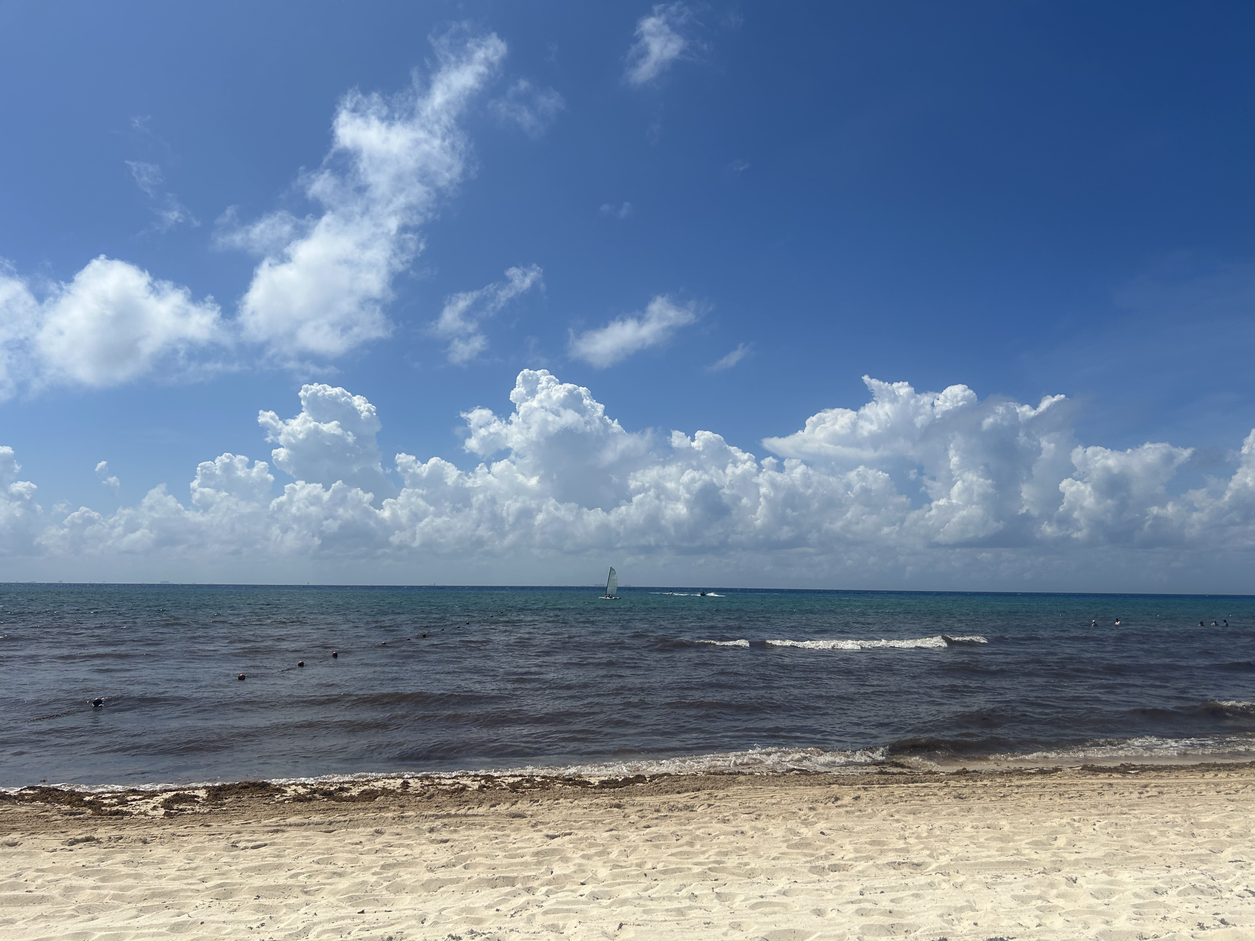 Sargassum at Iberostar Waves Quetzal