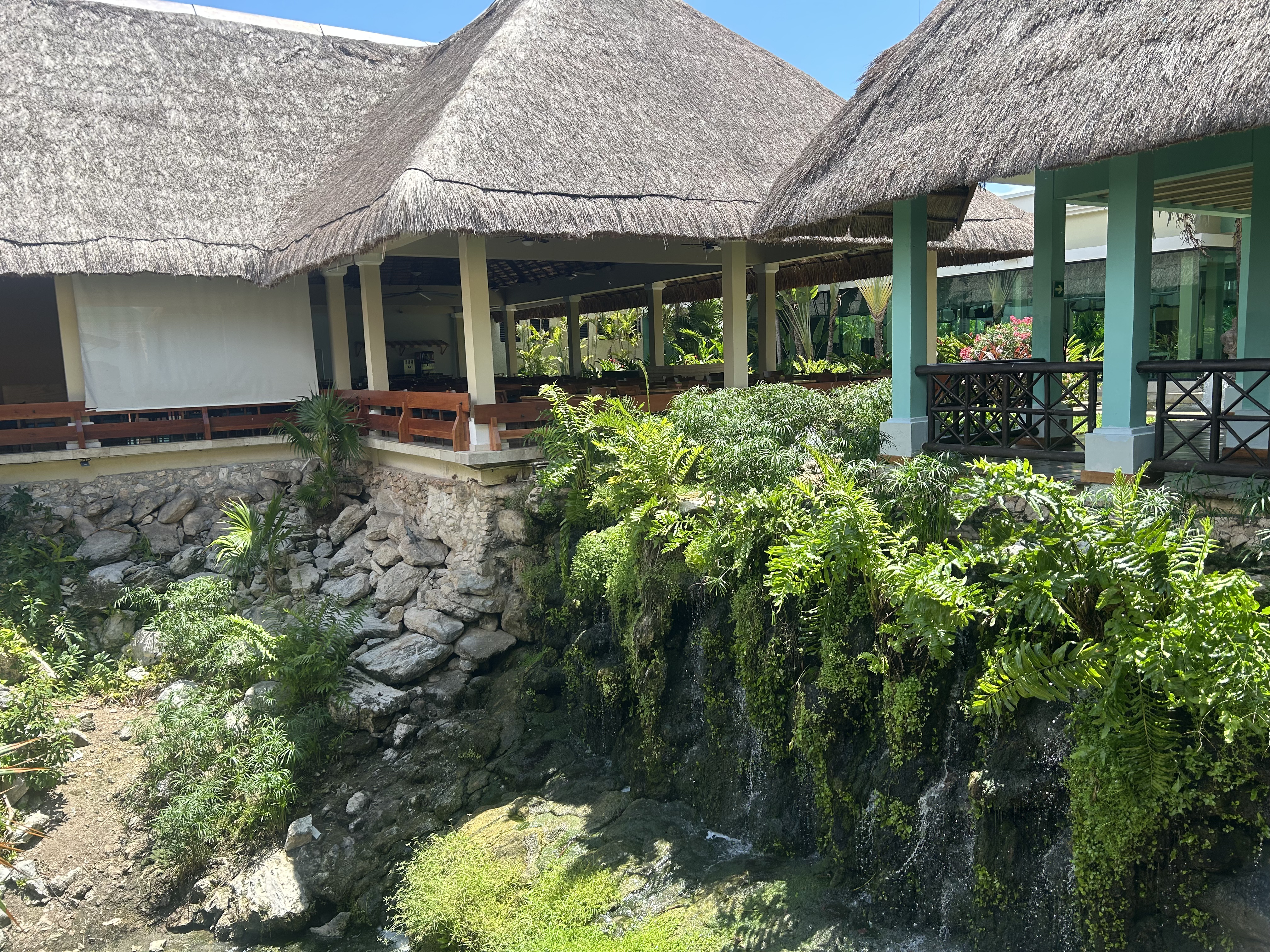 The Cozumel Buffet at Iberostar Waves Quetzal