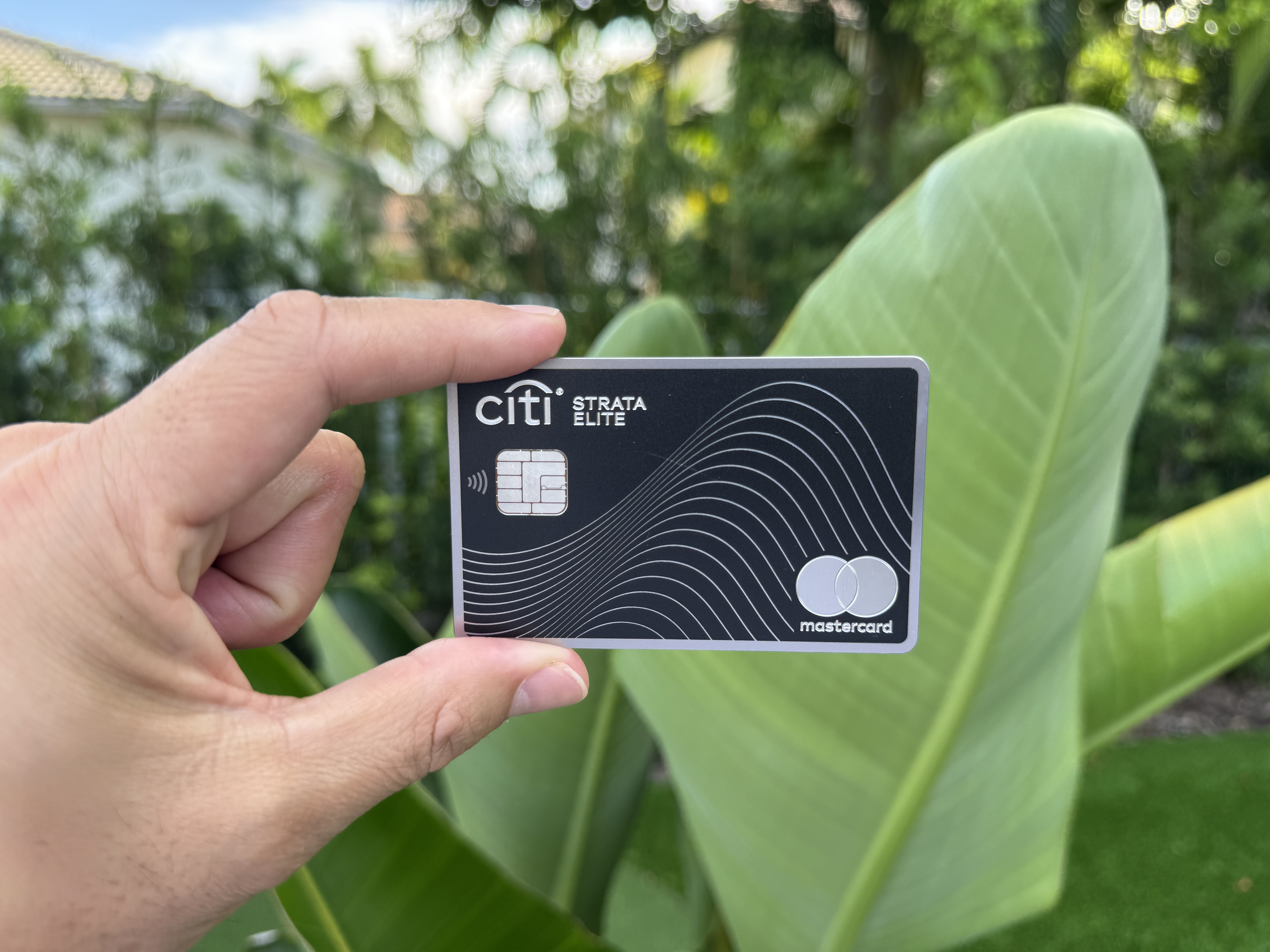 Citi Strata Elite Plant Background