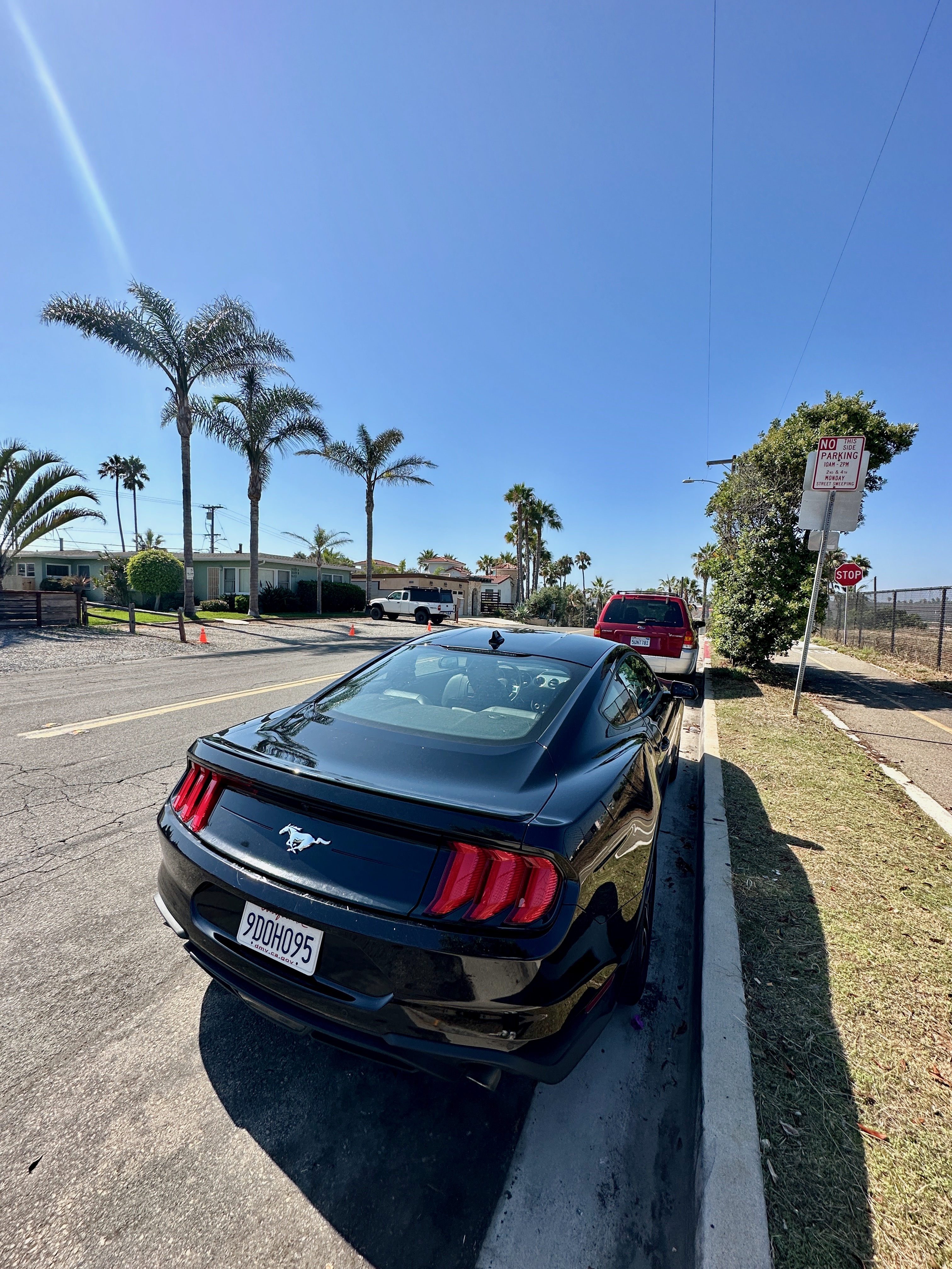 Ford Mustang Rental Car in California Ford Mustang Rental Car in California