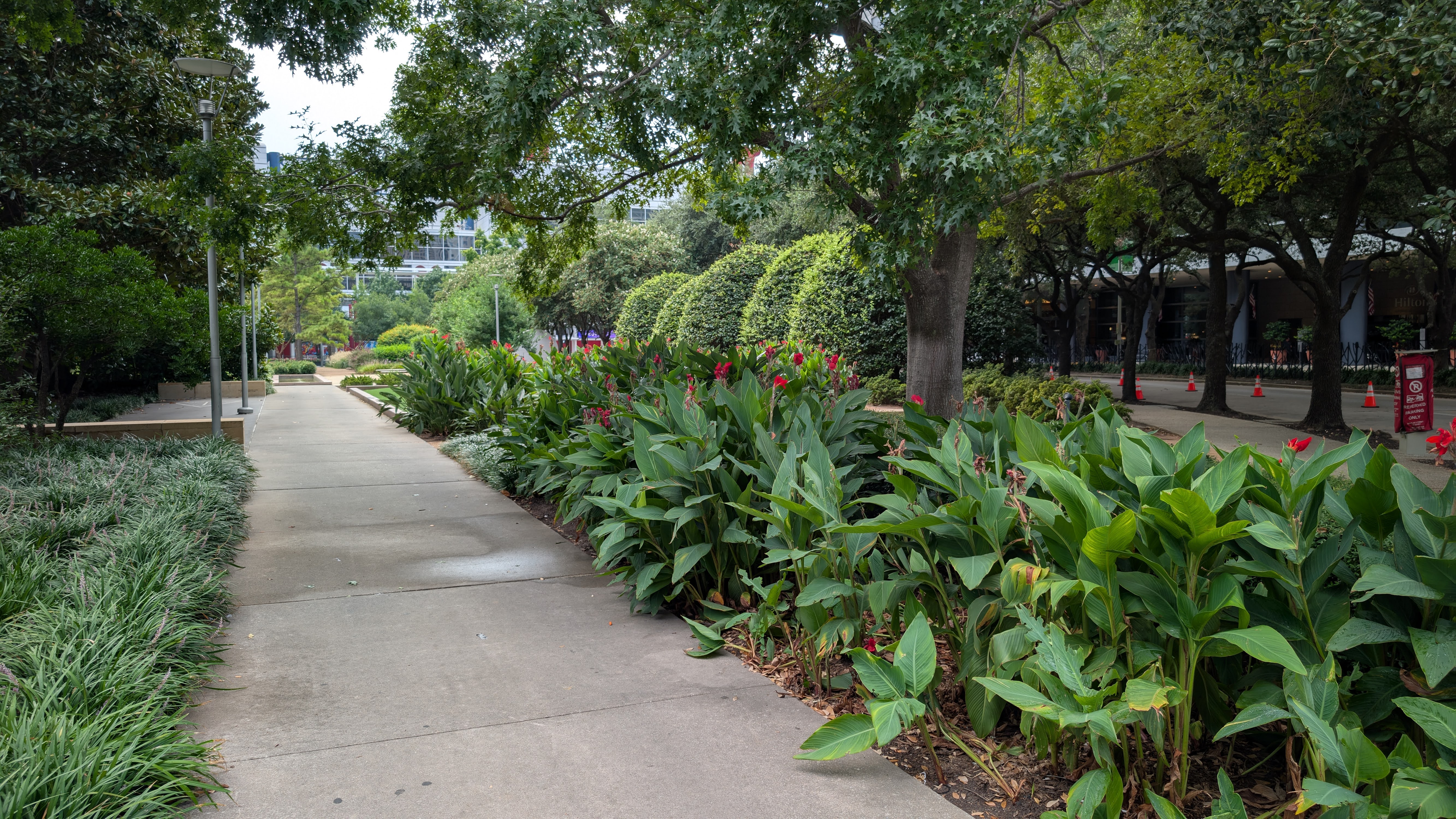 Hilton Americas Houston Discovery Green streetside