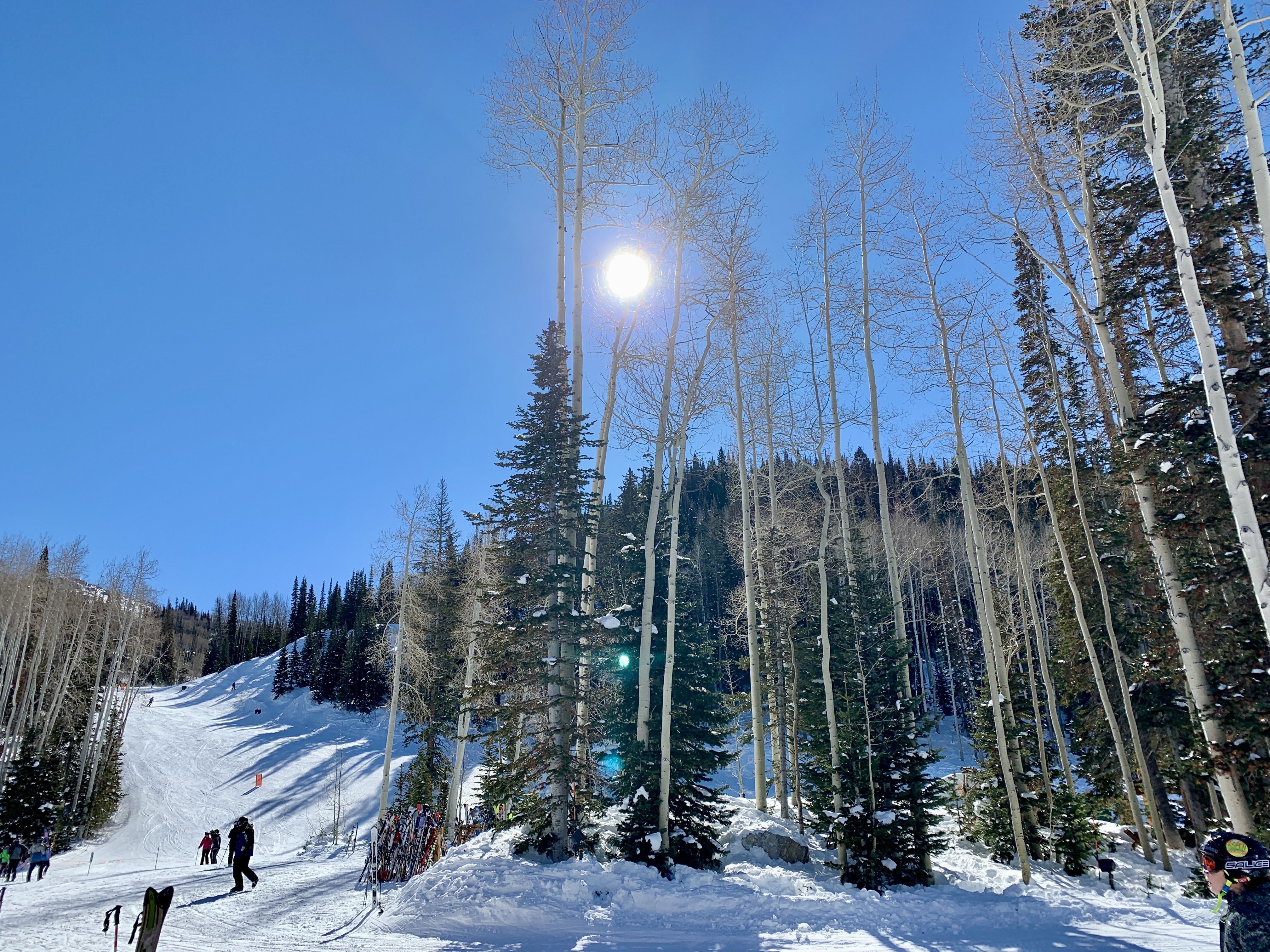 Deer Valley skiing