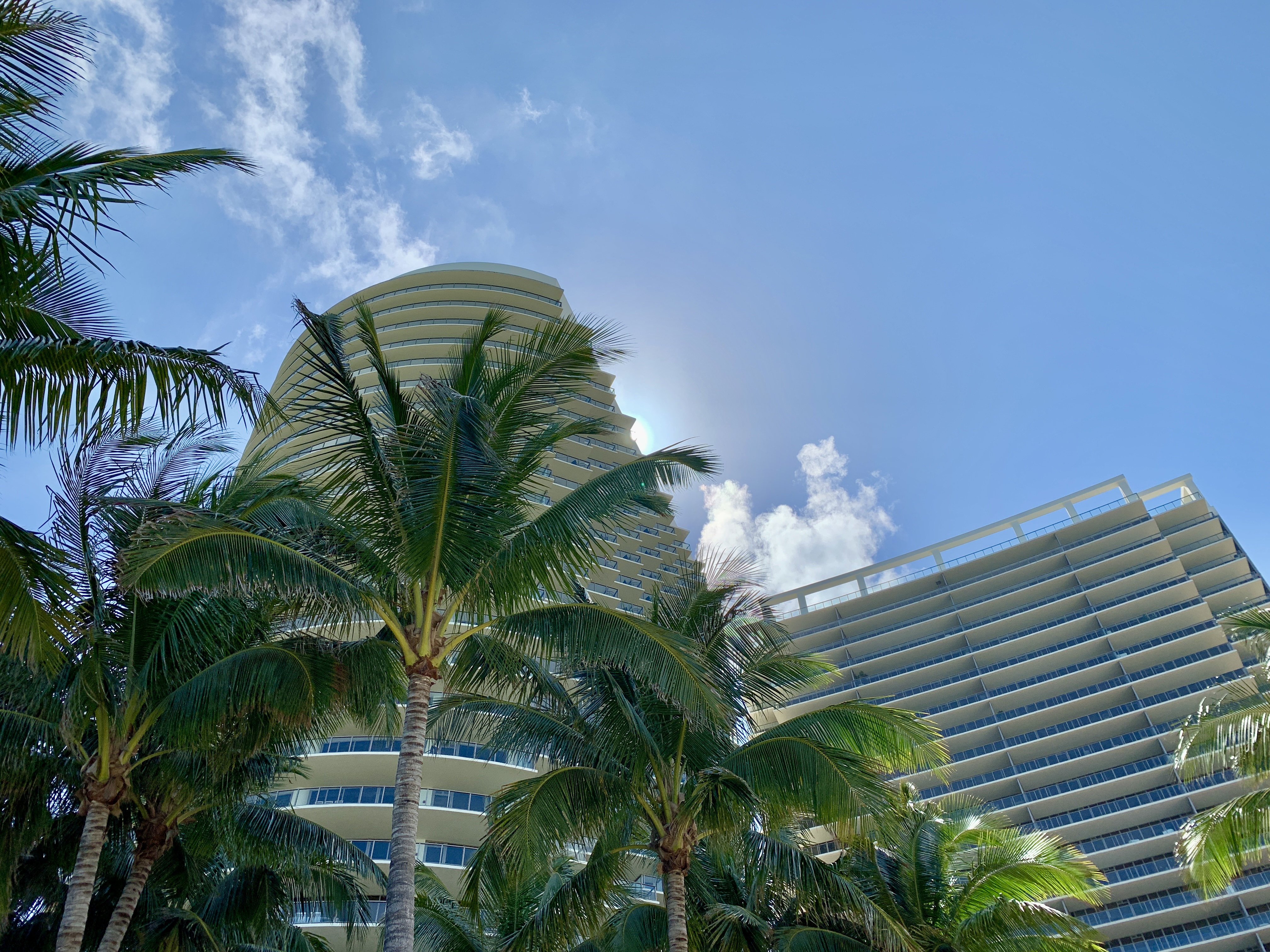 St Regis Bal Harbour Exterior Palm Trees St Regis Bal Harbour Exterior Palm Trees